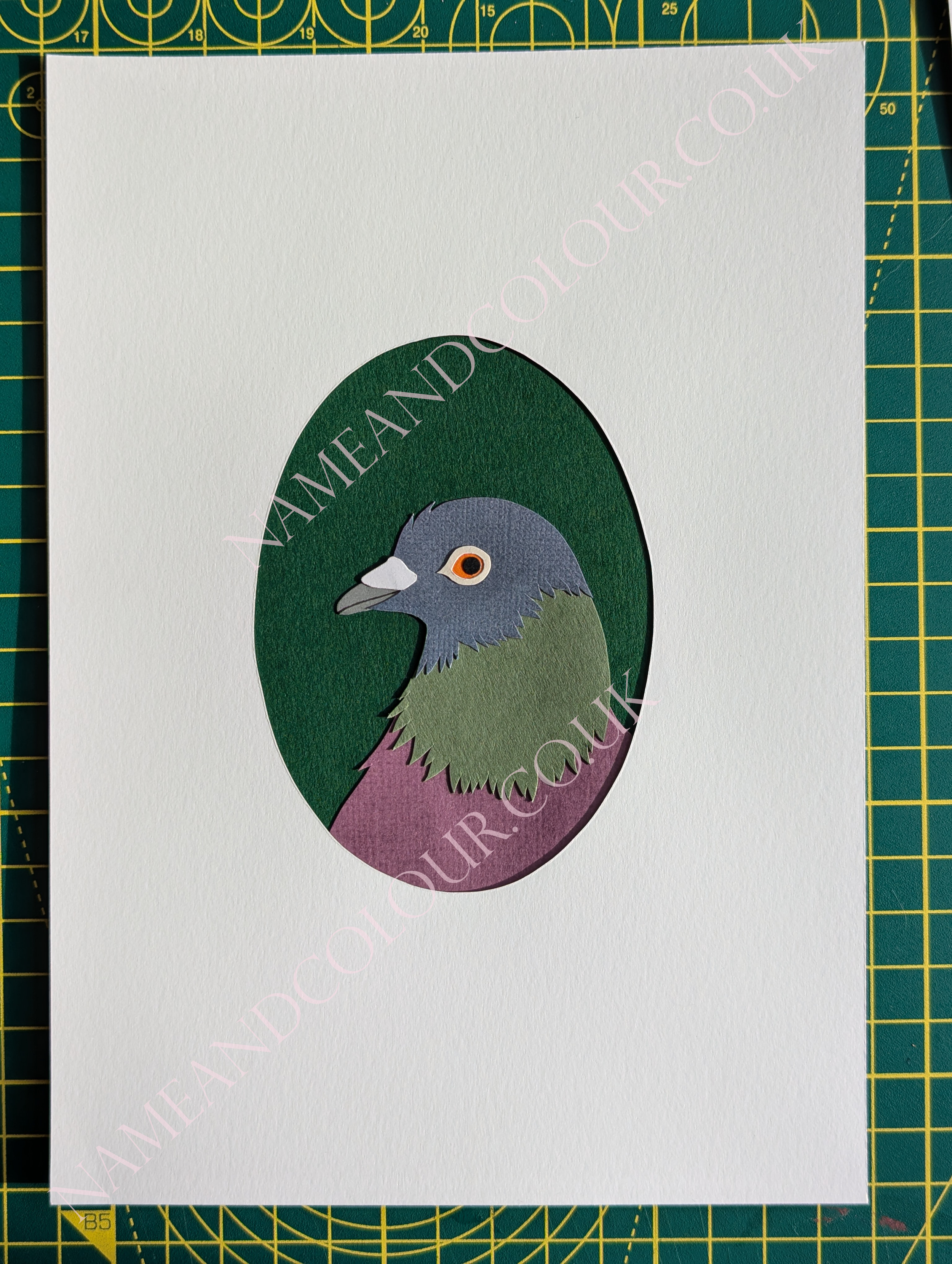 sideeye pidge watermarked.png