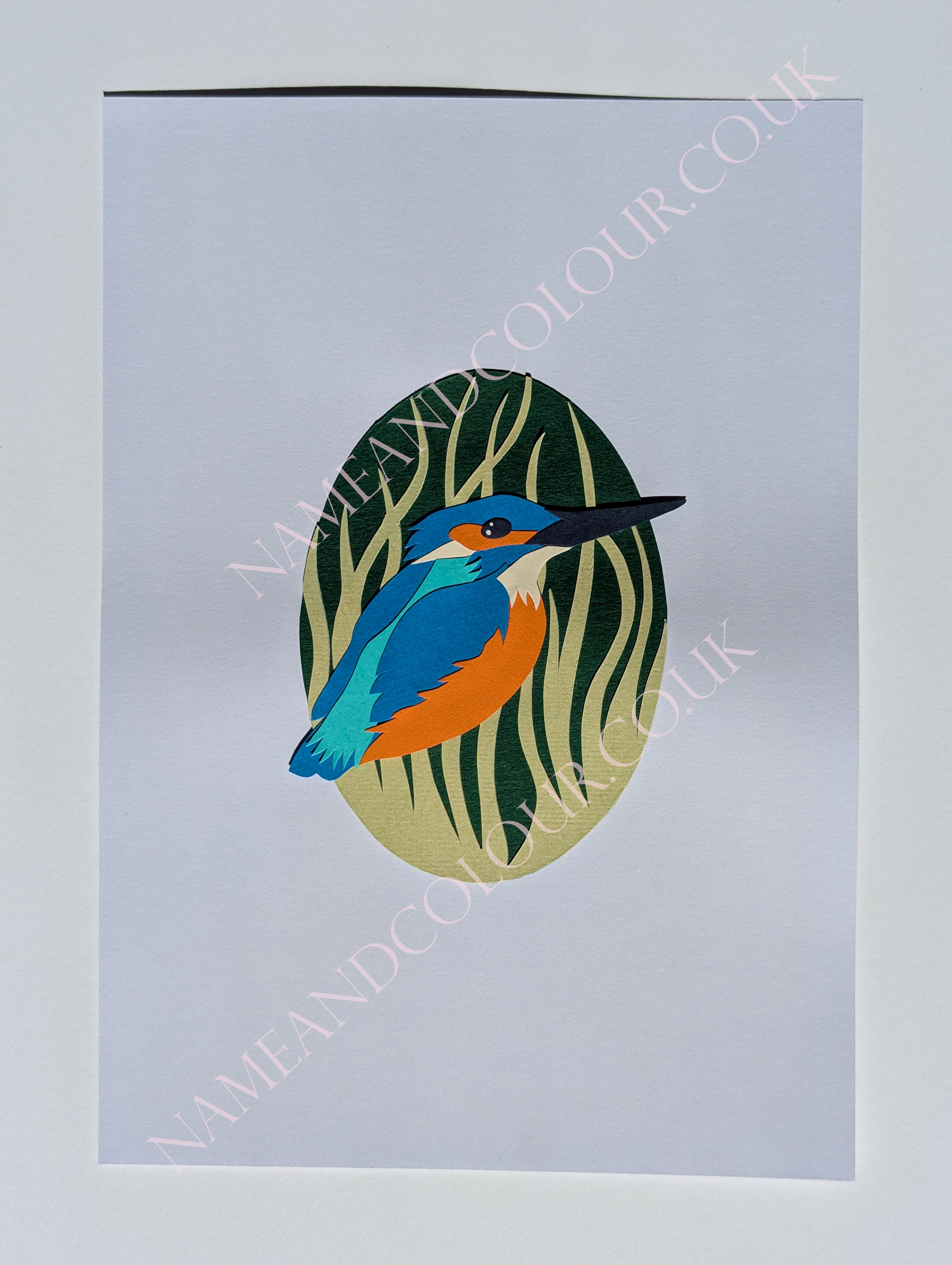 kingfisher watermarked.png