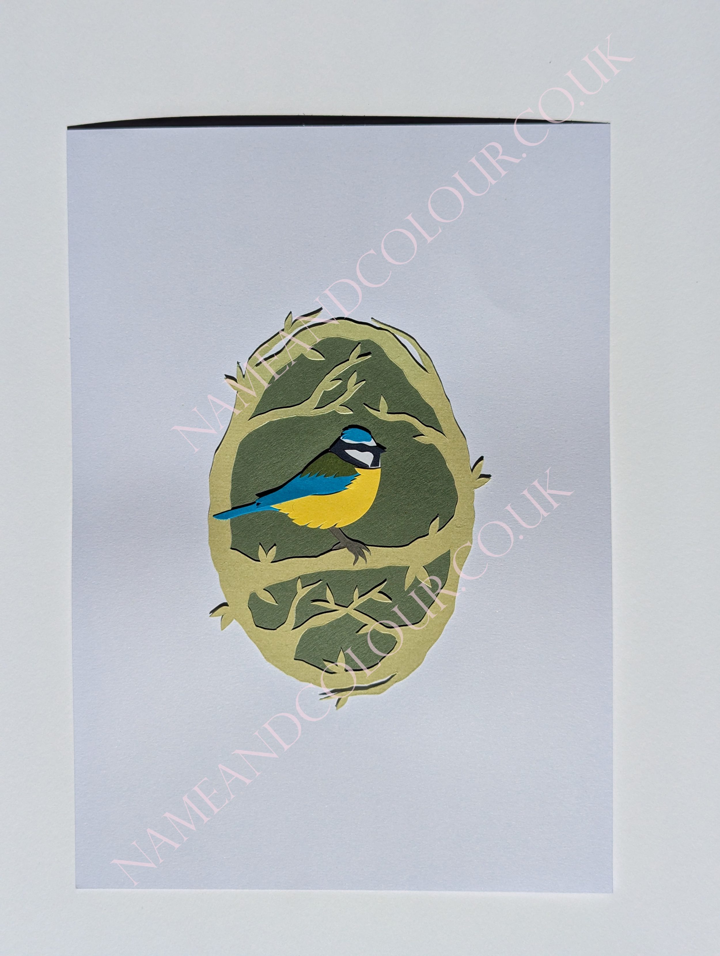 bluetit watermarked.png