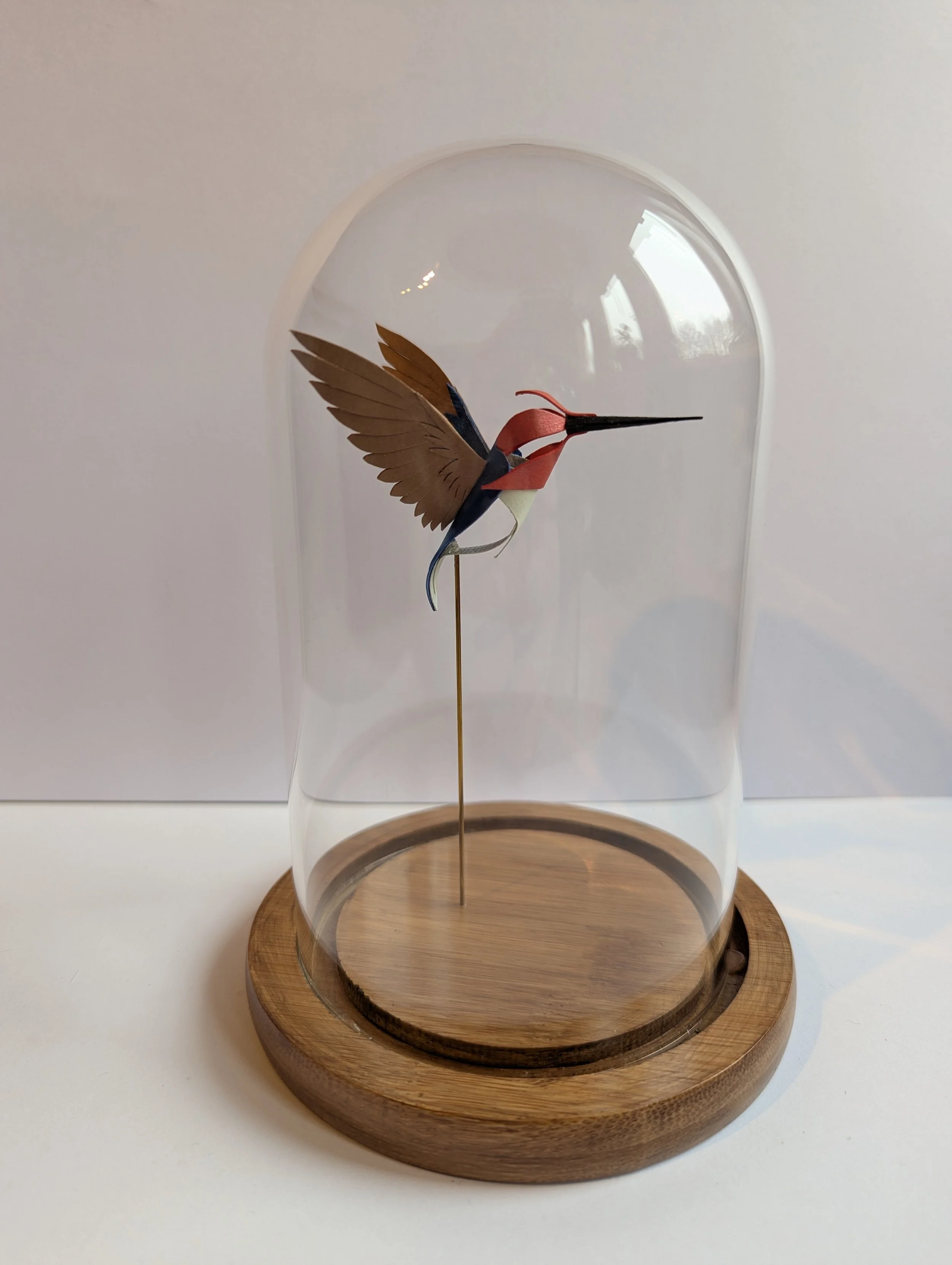 The Smallest Gent. Paper-cut Bee Hummingbird Sculpture. 1:1 Scale