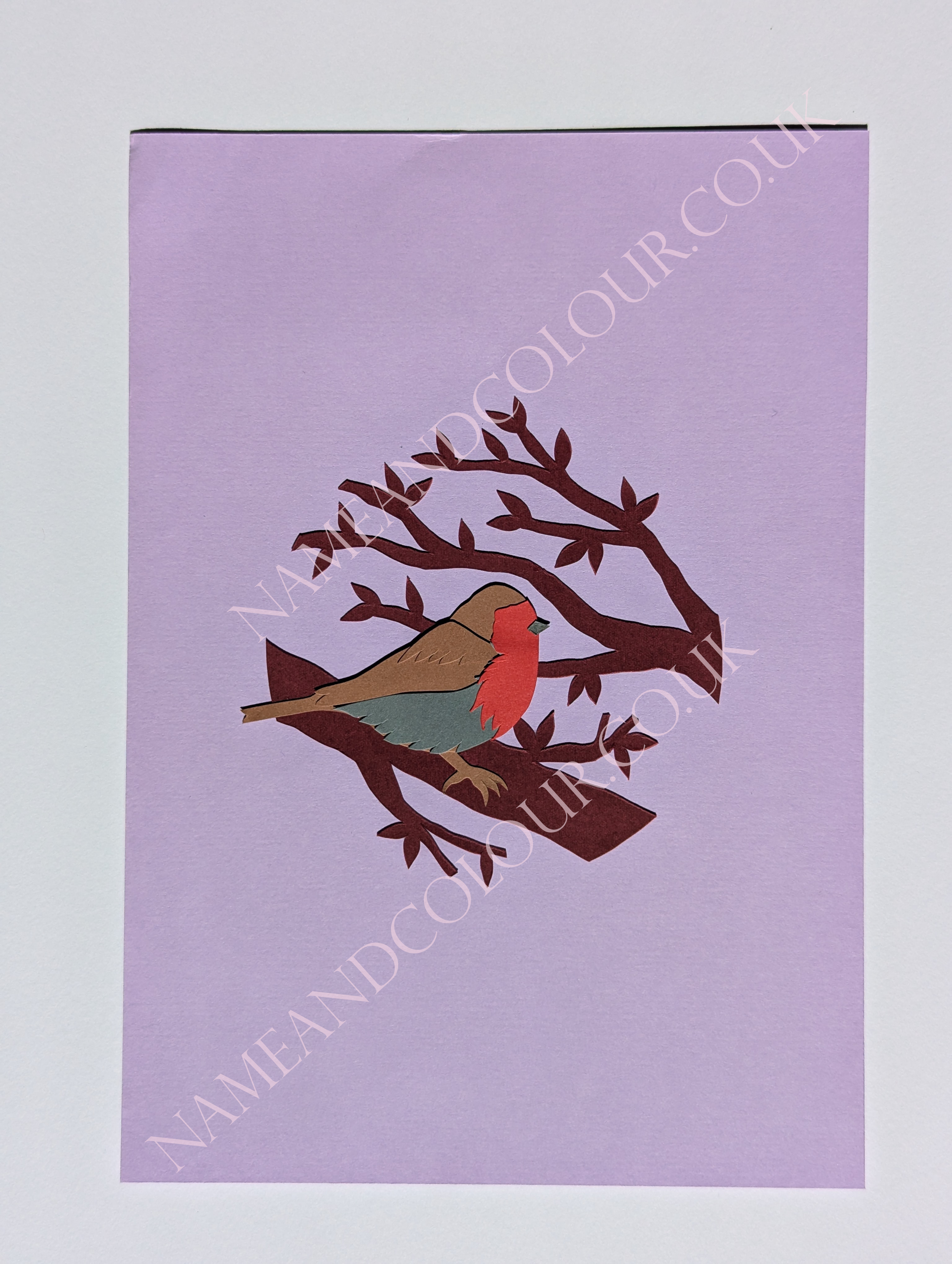 robin watermarked.png