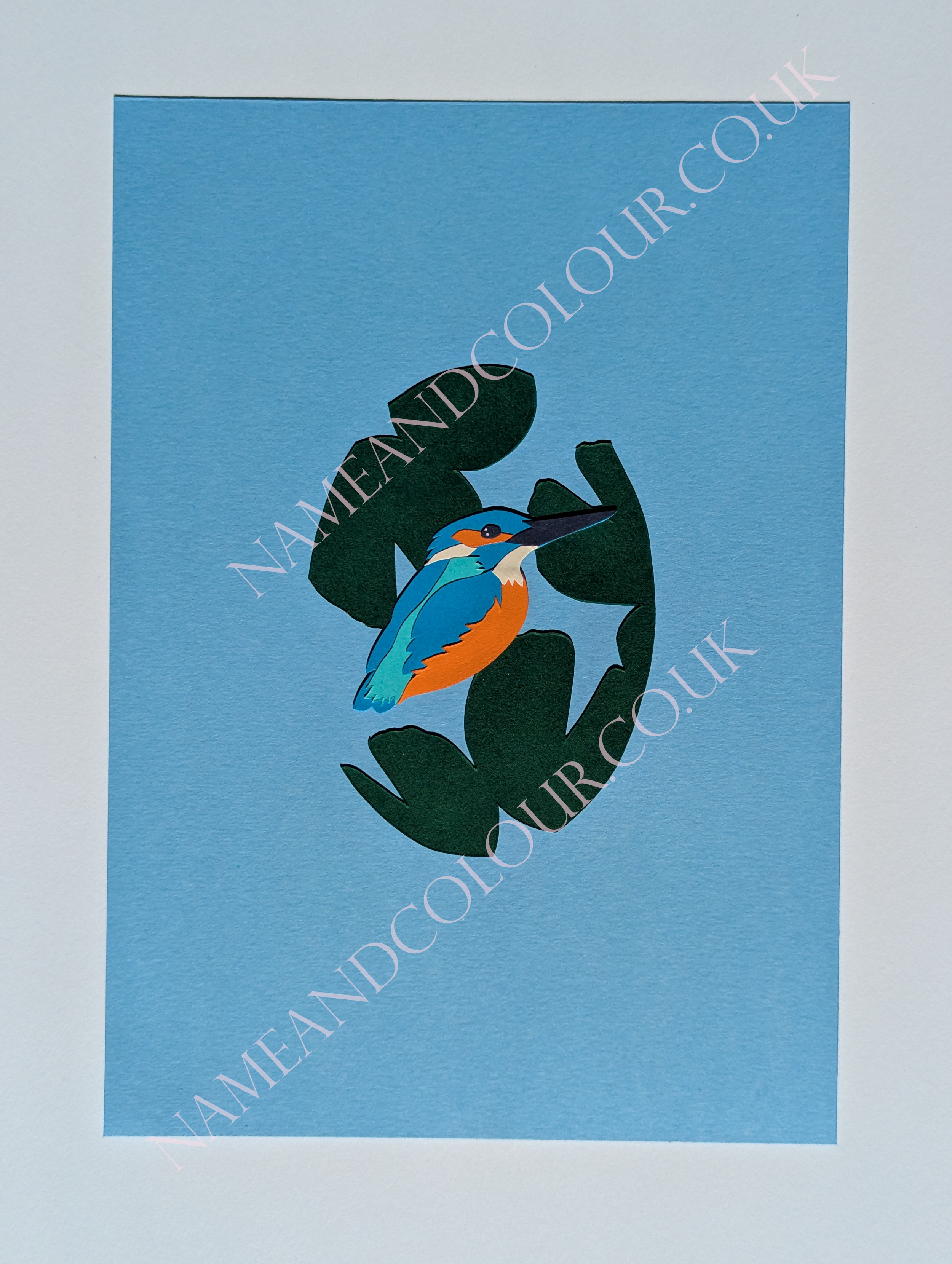 bigger kingfisher watermarked.png