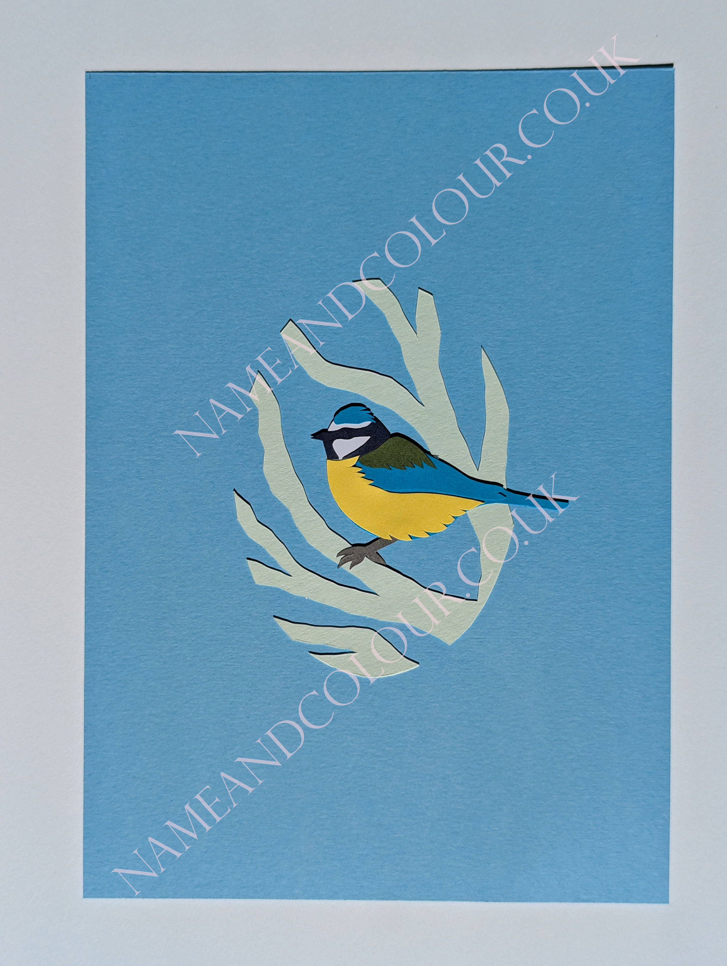 bigger bluetit watermarked.png