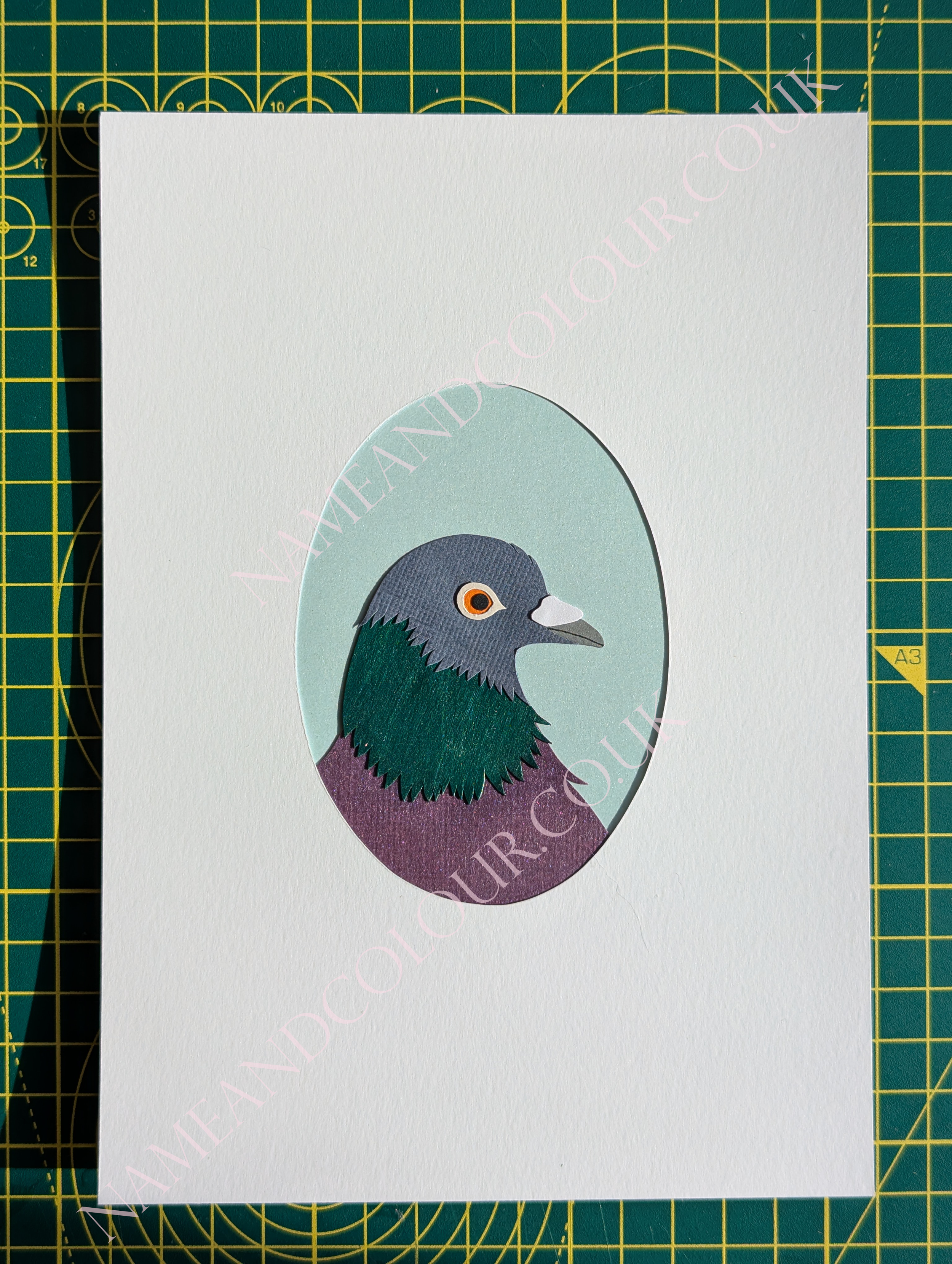 shiny pidge watermarked.png