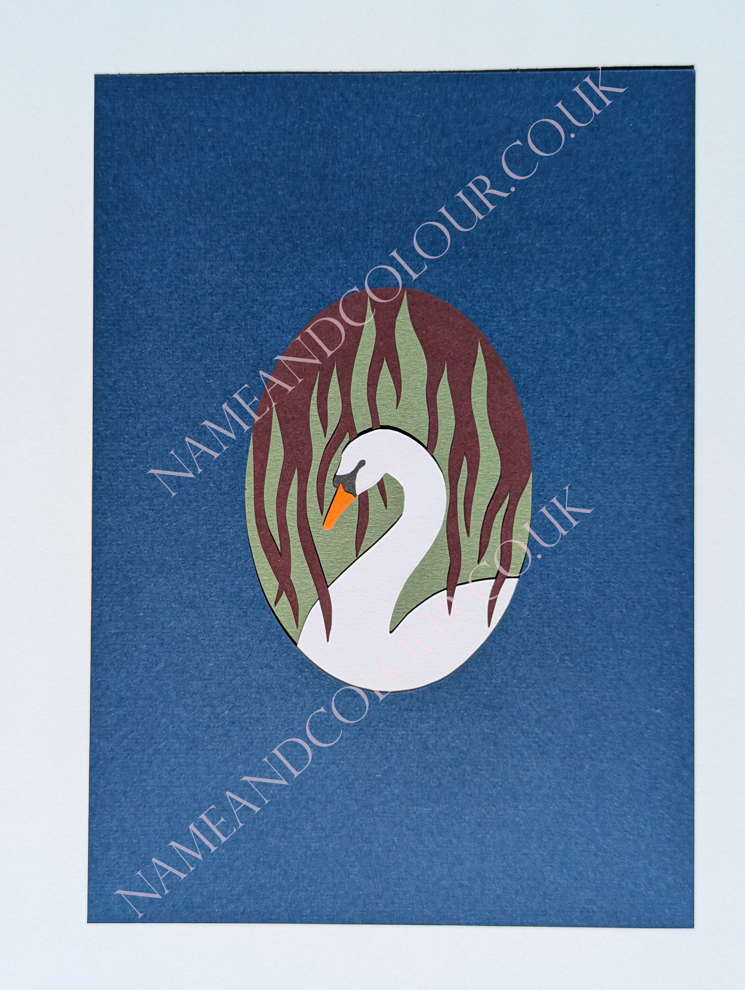swan watermarked.png