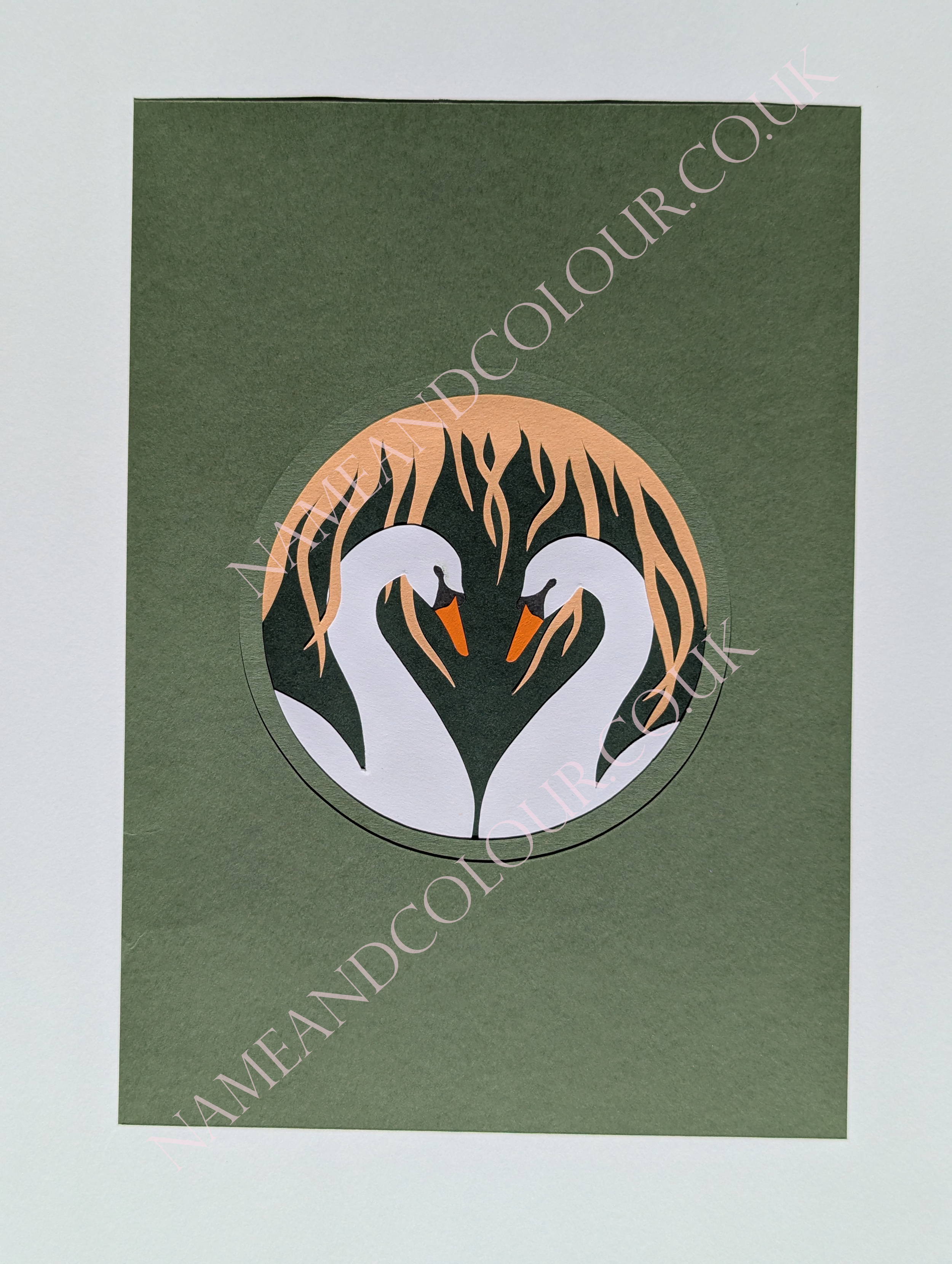 swans watermarked.png