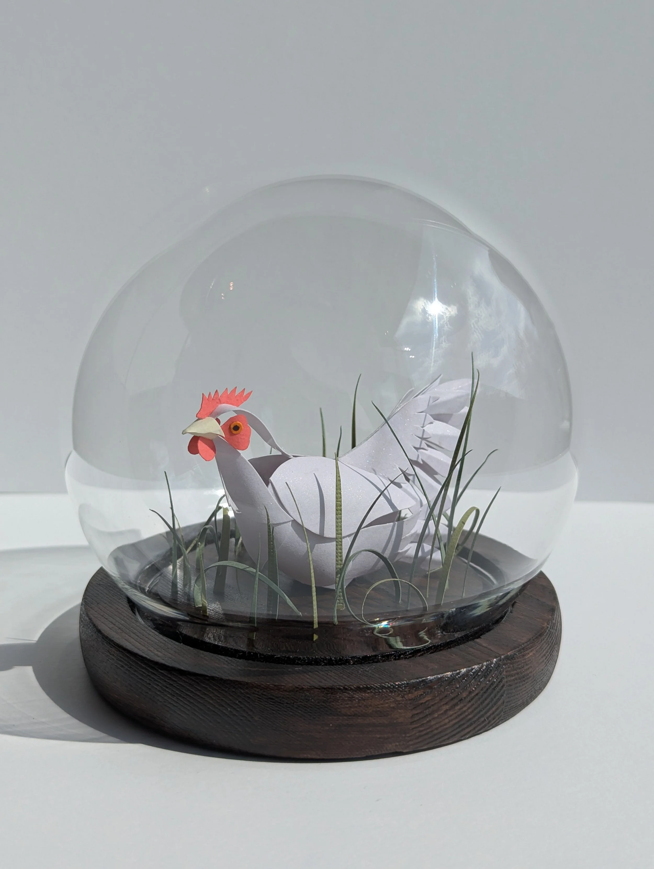 You Okay Hen? Paper-Cut Chicken Bell Jar Sculpture