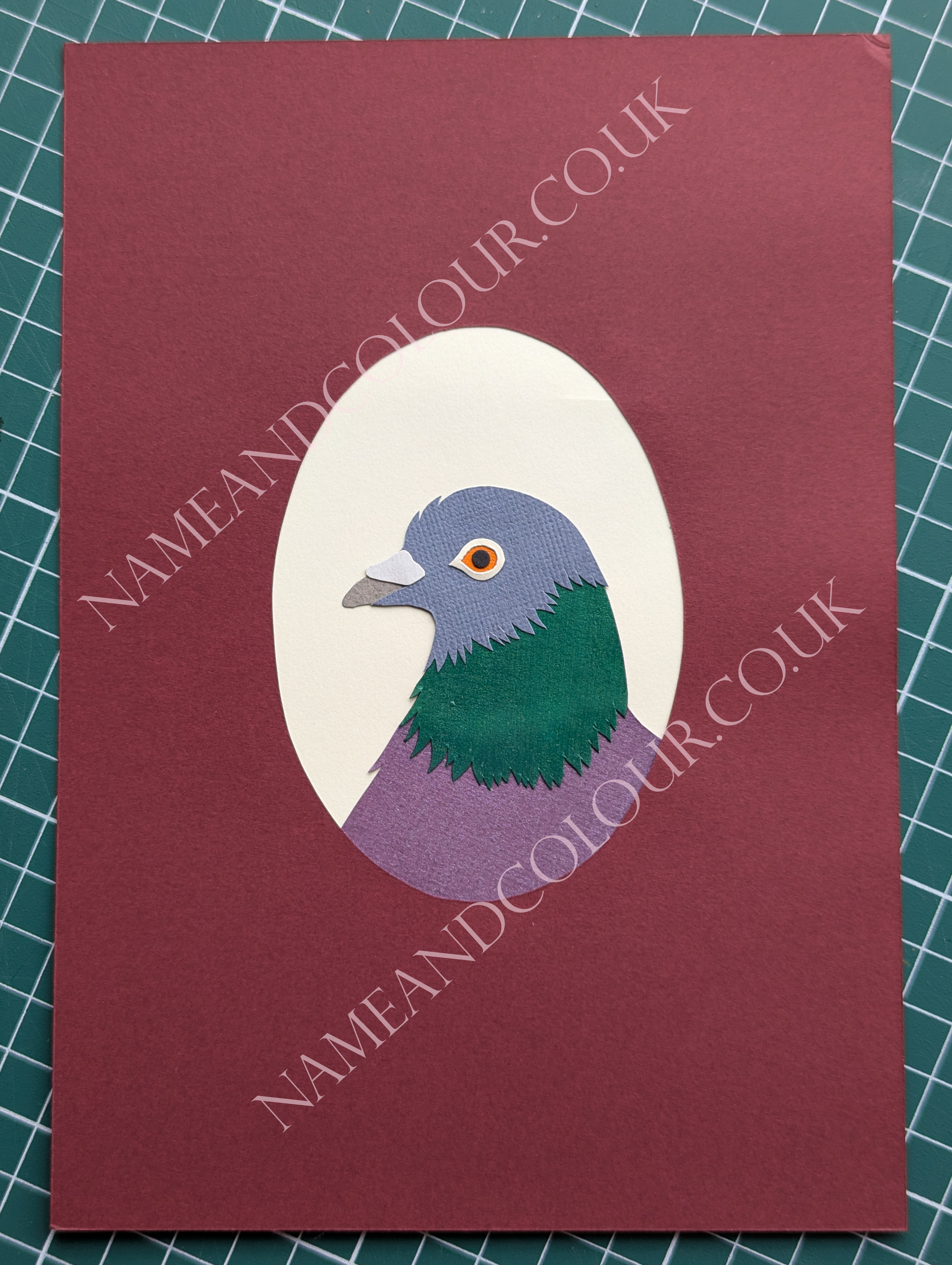 Pigeon 2 watermarked.png