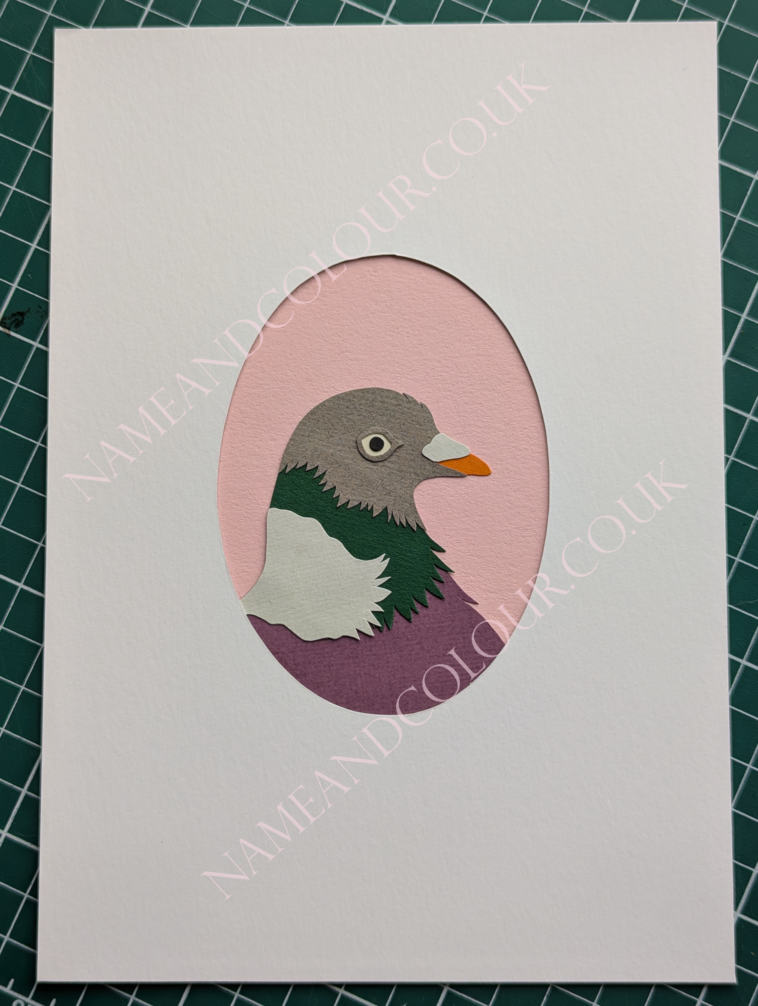 Pigeon 1 watermarked.png