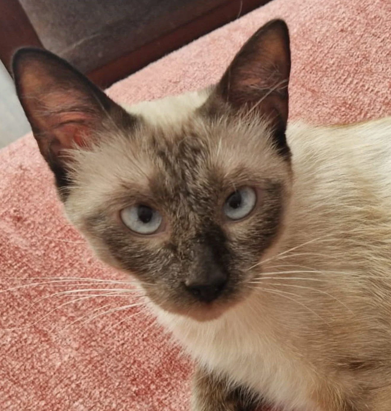 WhatsApp Image 2025-07-10 at 22.29.51.jpeg