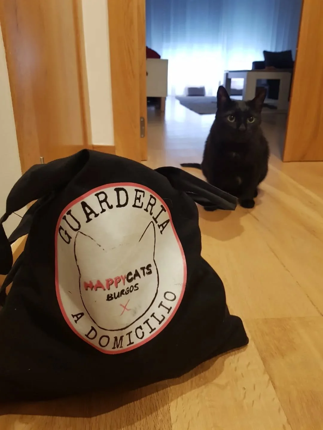 Hoy es de OSHY,volvemos a verte GRU&Ntilde;&Oacute;NCETE ❤😻
.
Creemos que etiquetar a un gato por el simple hecho de sus miedos y sus inseguridades no ayuda!!!
.
En nuestro deber aunque tengan miedos demostrarles que apesar de eso aqu&iacute; estamo