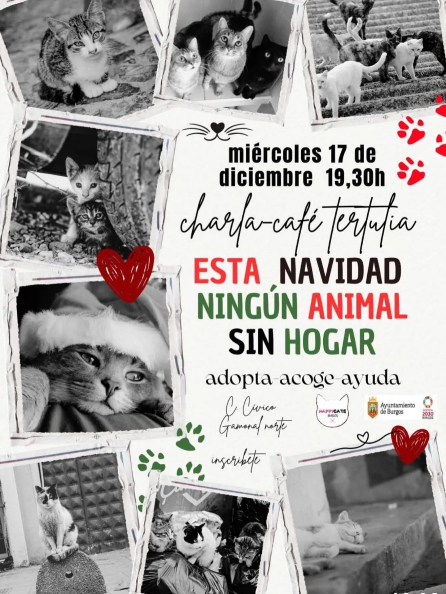 🐾 Charla &middot;  Caf&eacute;- Tertulia
Esta Navidad , Ning&uacute;n animal sin hogar 🐾

El mi&eacute;rcoles d&iacute;a 17 a las 19:30 h os esperamos en el
📍 Centro C&iacute;vico Gamonal Norte

Un espacio de encuentro y reflexi&oacute;n, donde ha