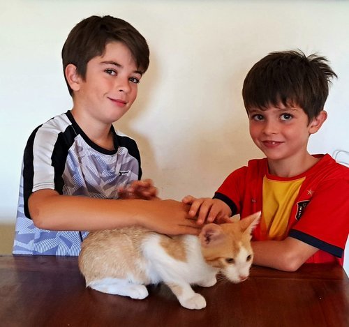 Dos niños acariciando a un gato sobre una mesa, sin fondo visible.
