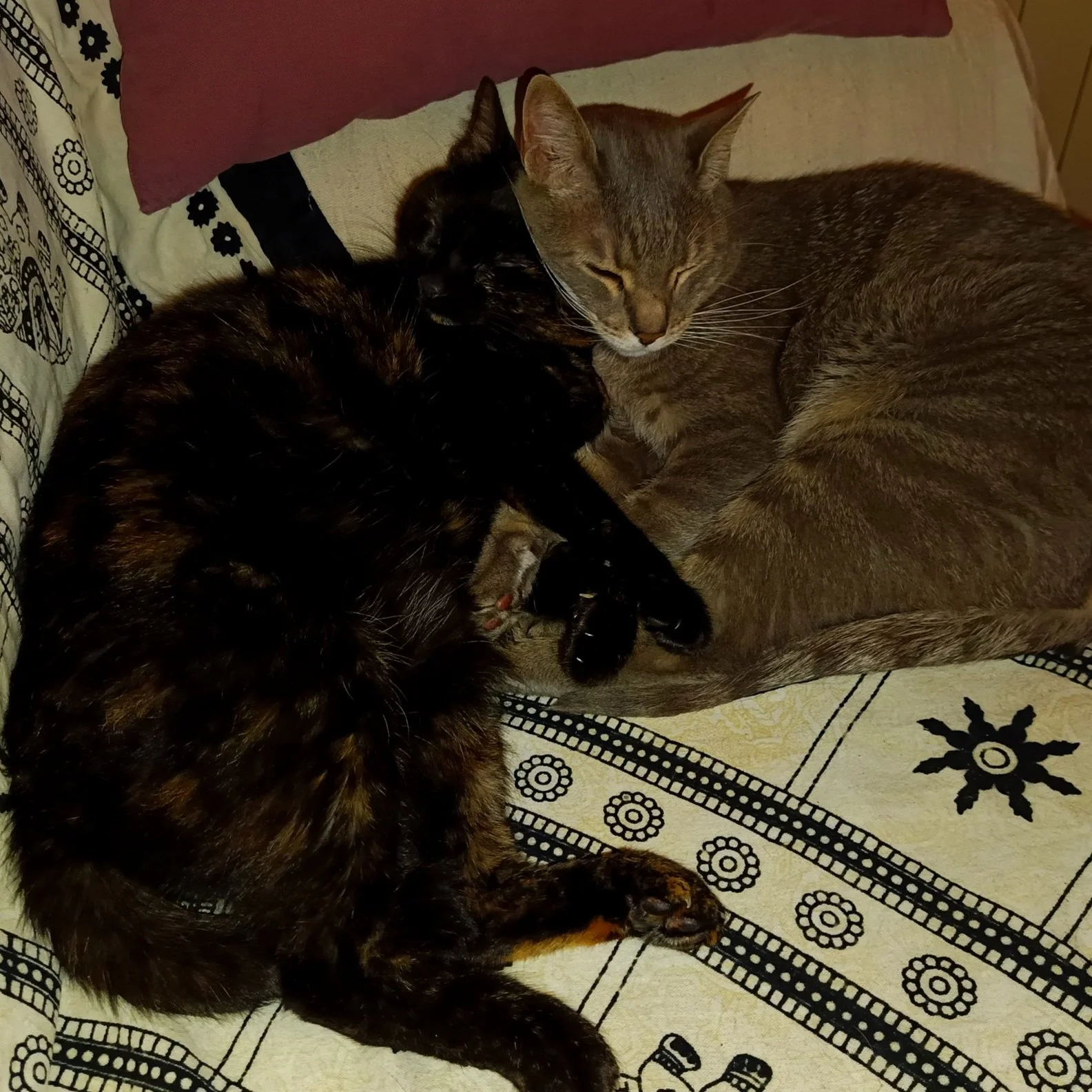 Tres gatos acurrucados, uno atigrado y dos oscuros, descansando juntos en una cama con sábanas y almohadas de colores y patrones