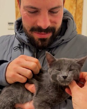Un hombre con barba, sonriendo suavemente, sosteniendo un gato gris que parece estar disfrutando de ser acariciado