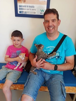 Un hombre y un niño sentados en una sala de espera, ambos sosteniendo gatos, con una cartelera en la pared que promociona la adopción de perros.
