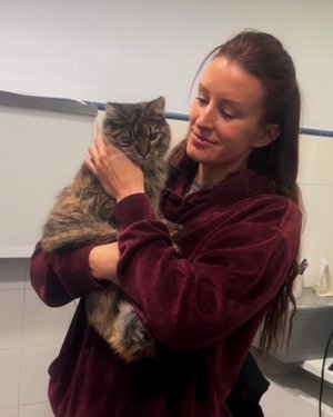 Mujer sosteniendo un gato atigrado en un consultorio veterinario.