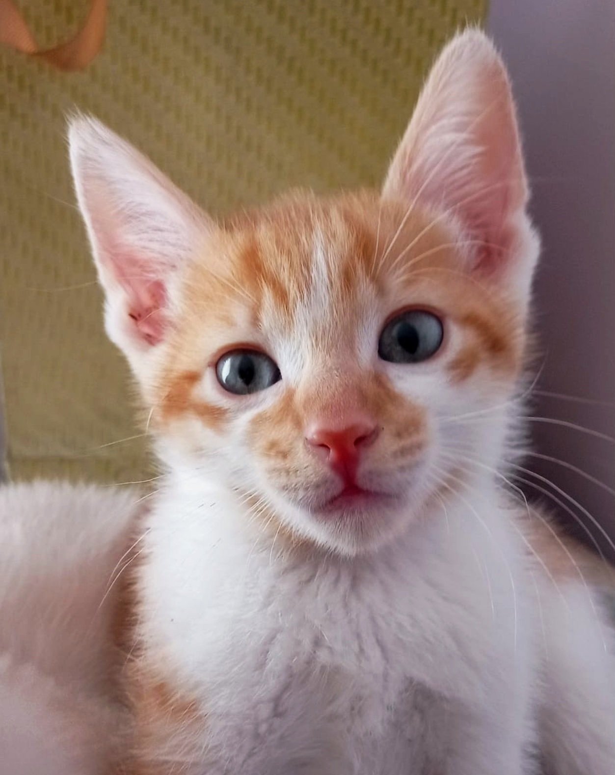 Tom