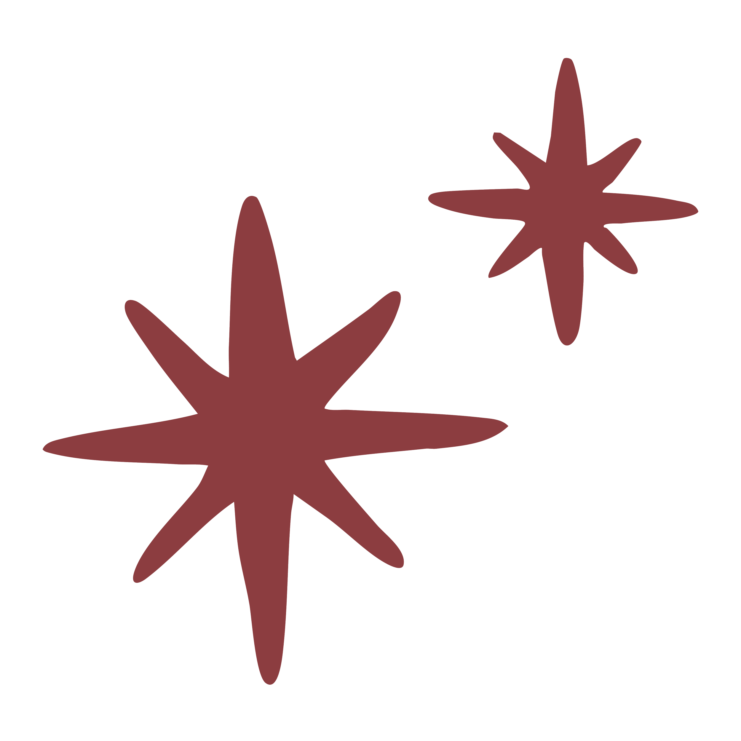 Two brown star-shaped ornaments, one larger and one smaller, with eight points each, set against a transparent background.