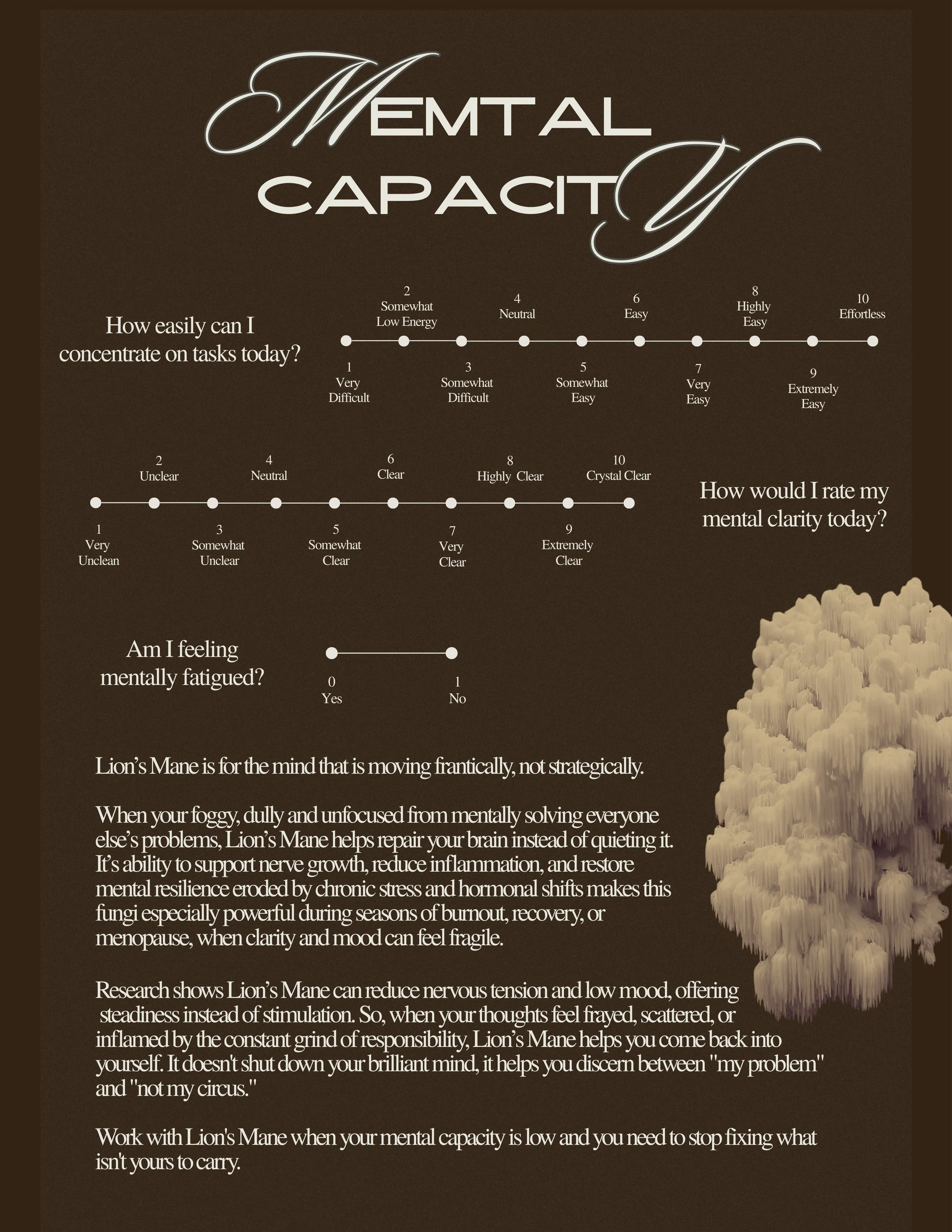 Rebel Guide (16).jpg