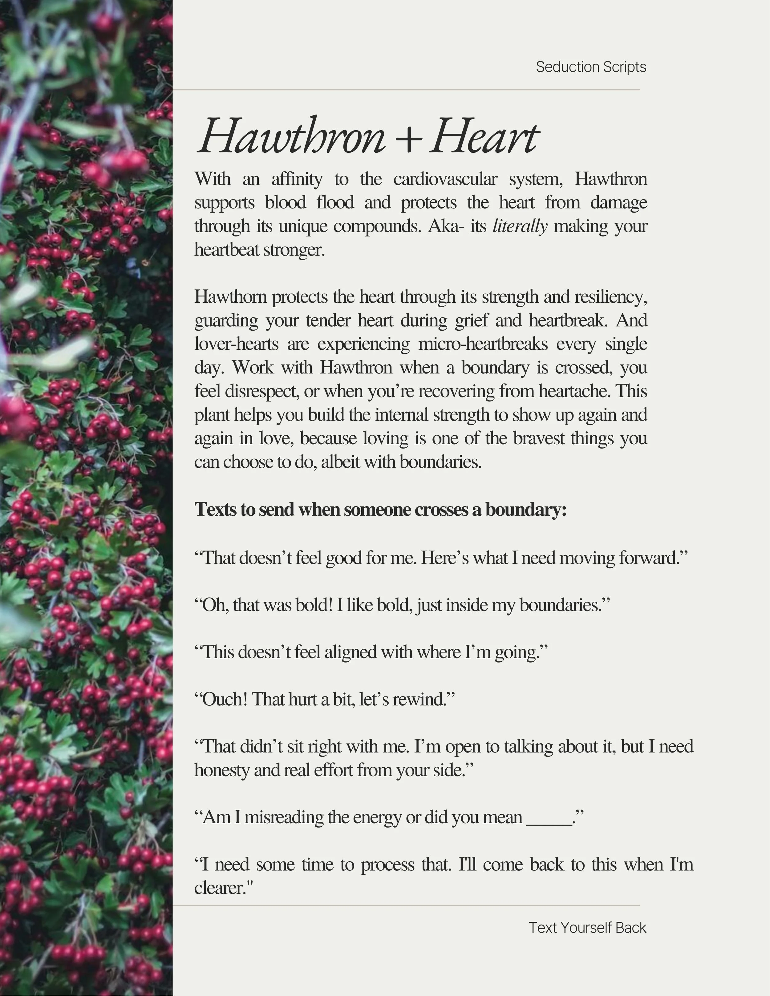 Text Yourself Back (1) (1).jpg