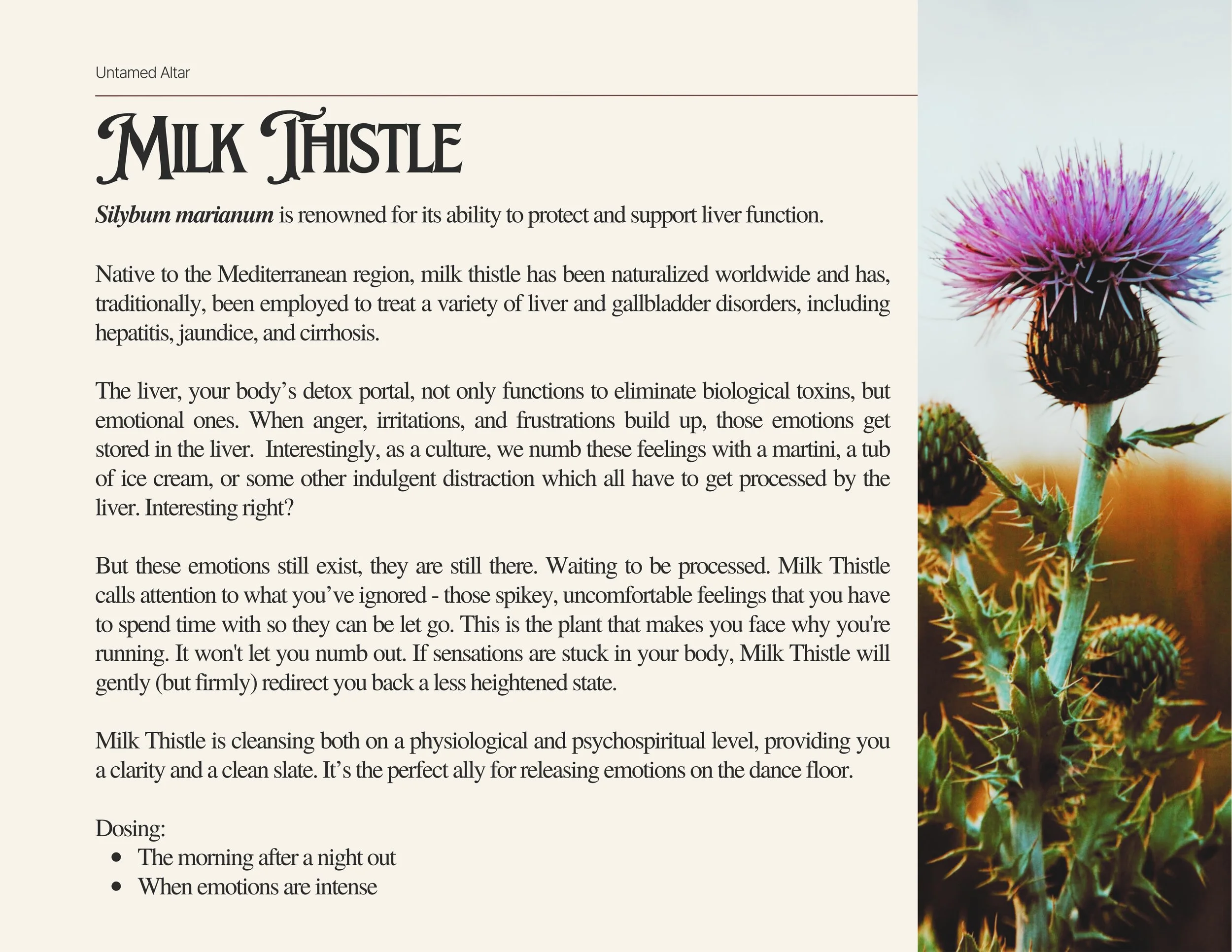 The Oracle of Ecstasy (13).jpg