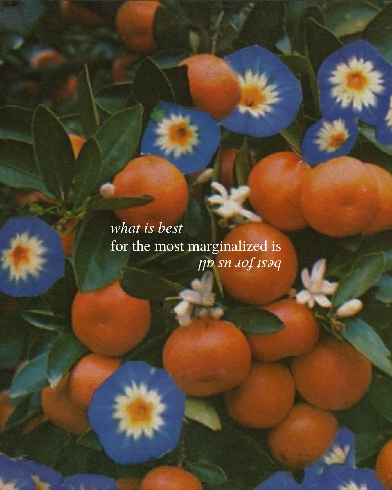 As you tear this down, what will you build in its place?