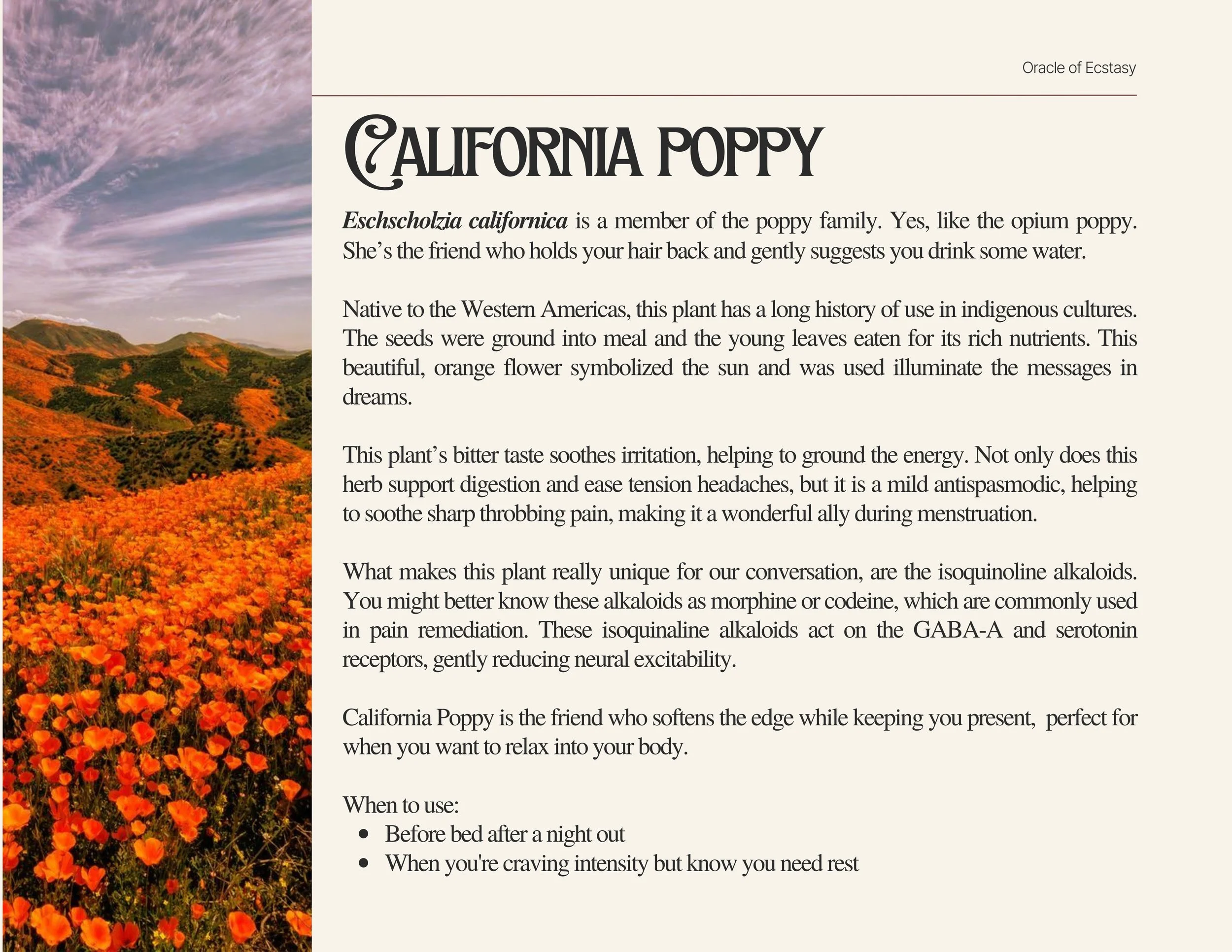 The Oracle of Ecstasy (12).jpg