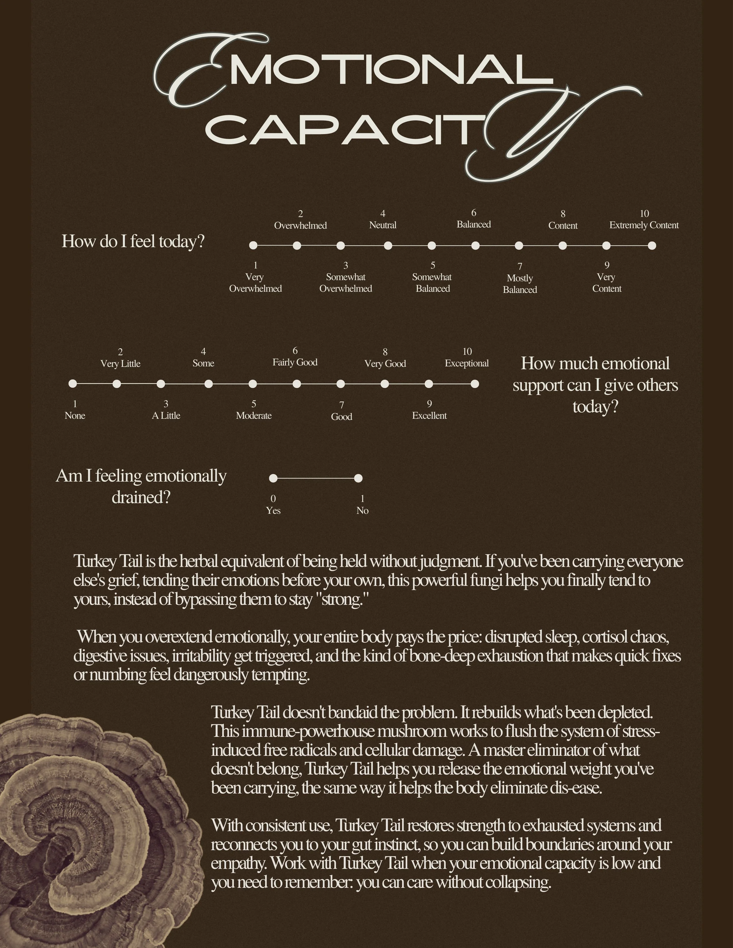 Rebel Guide (14).jpg