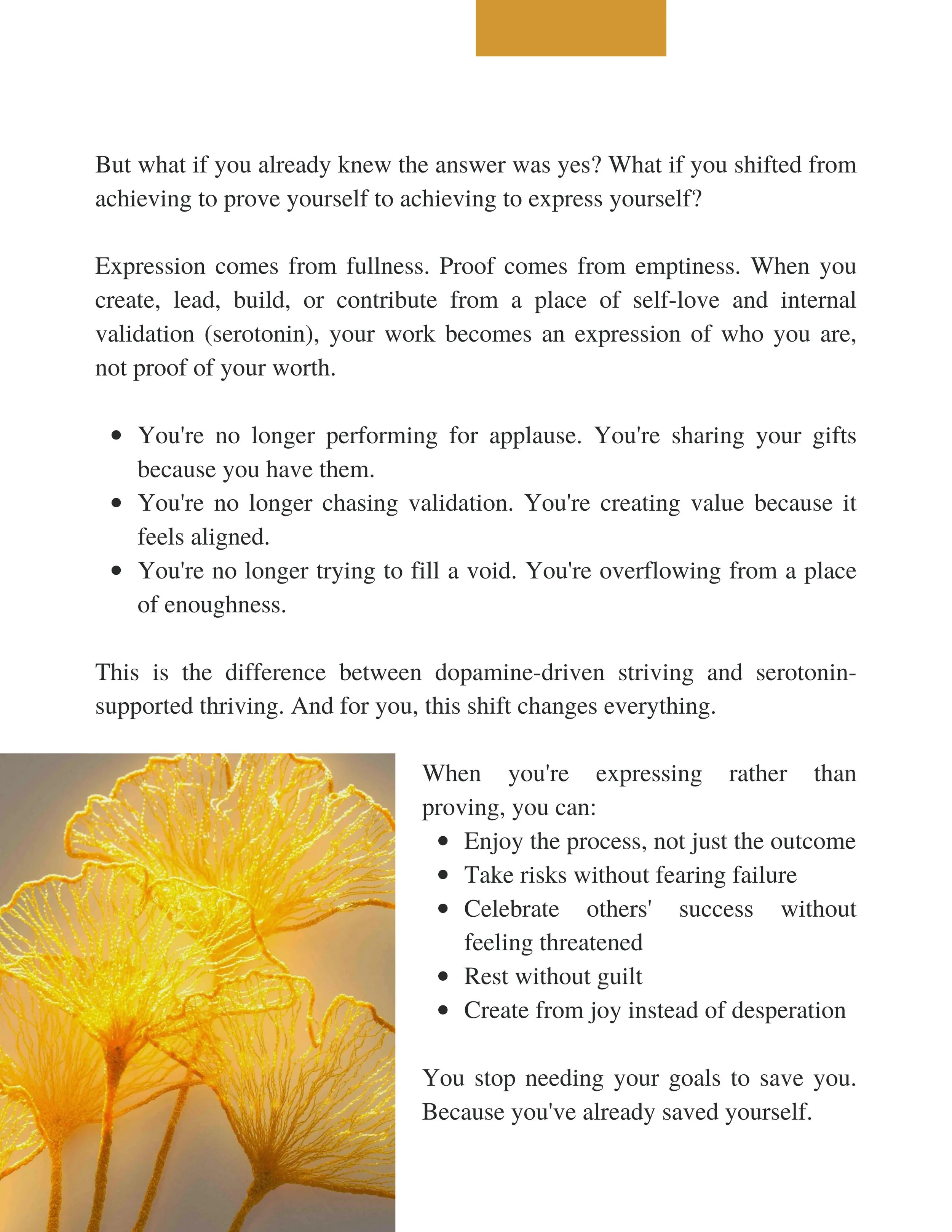 Confidence Codes (15).jpg