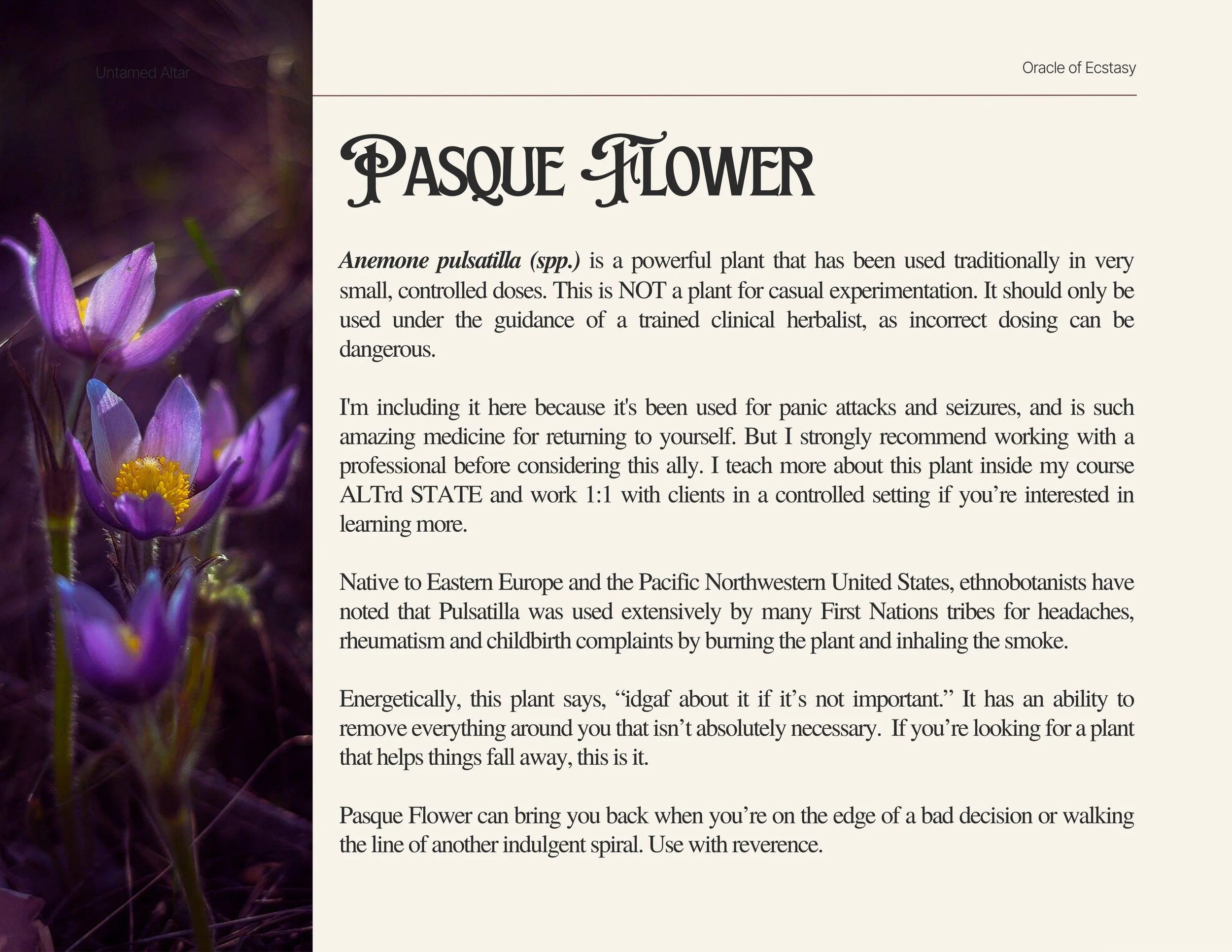 The Oracle of Ecstasy (14).jpg