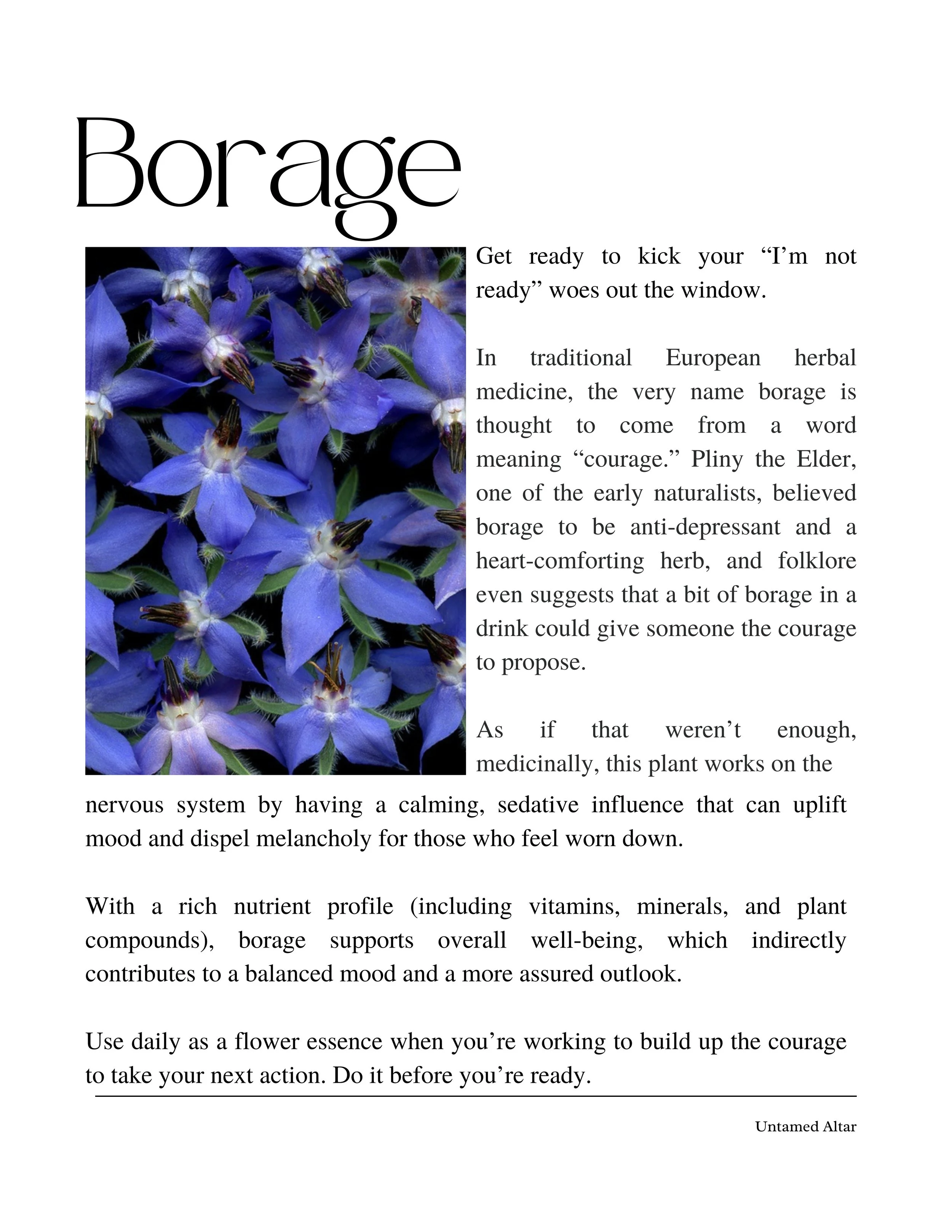 Confidence Codes (21).jpg