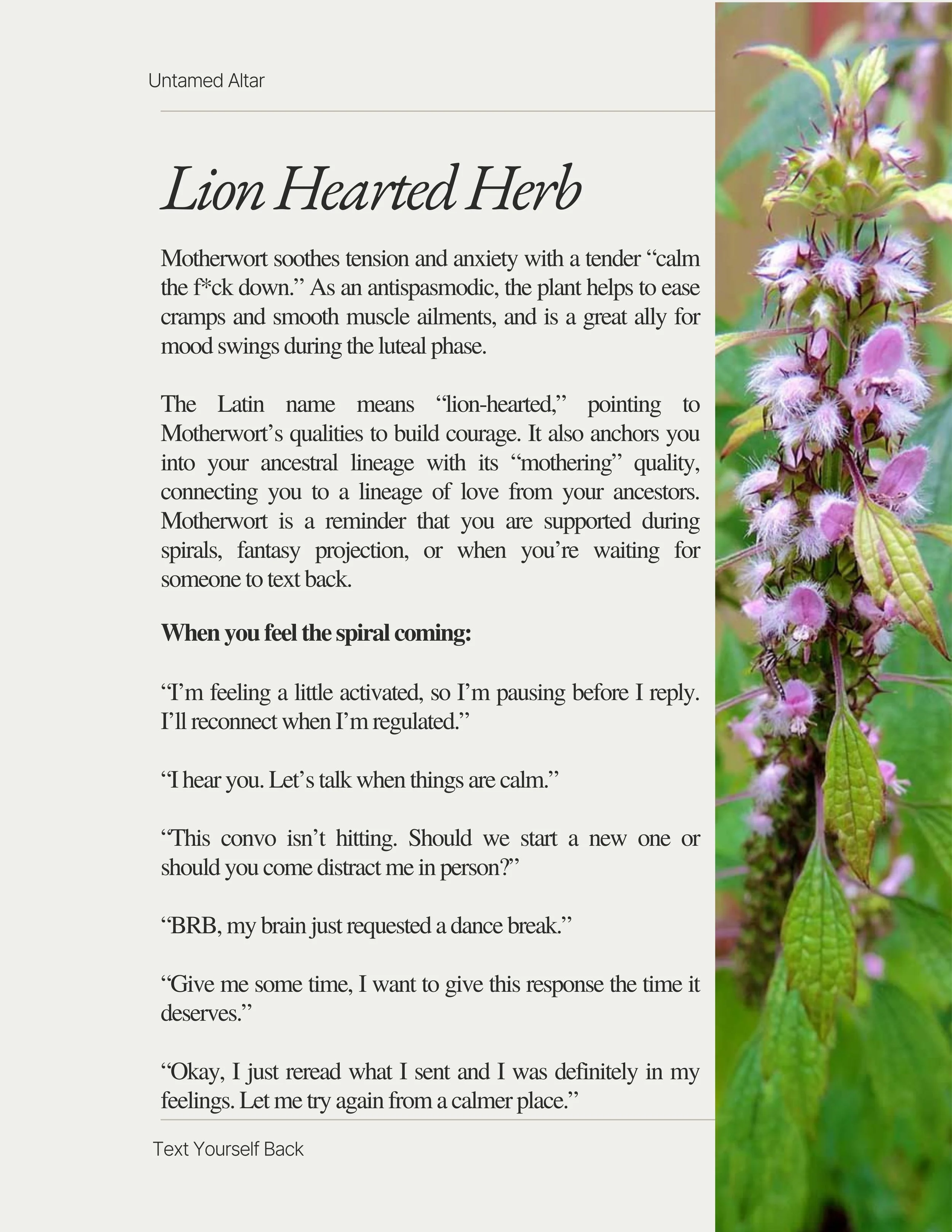 Text Yourself Back (2) (1).jpg