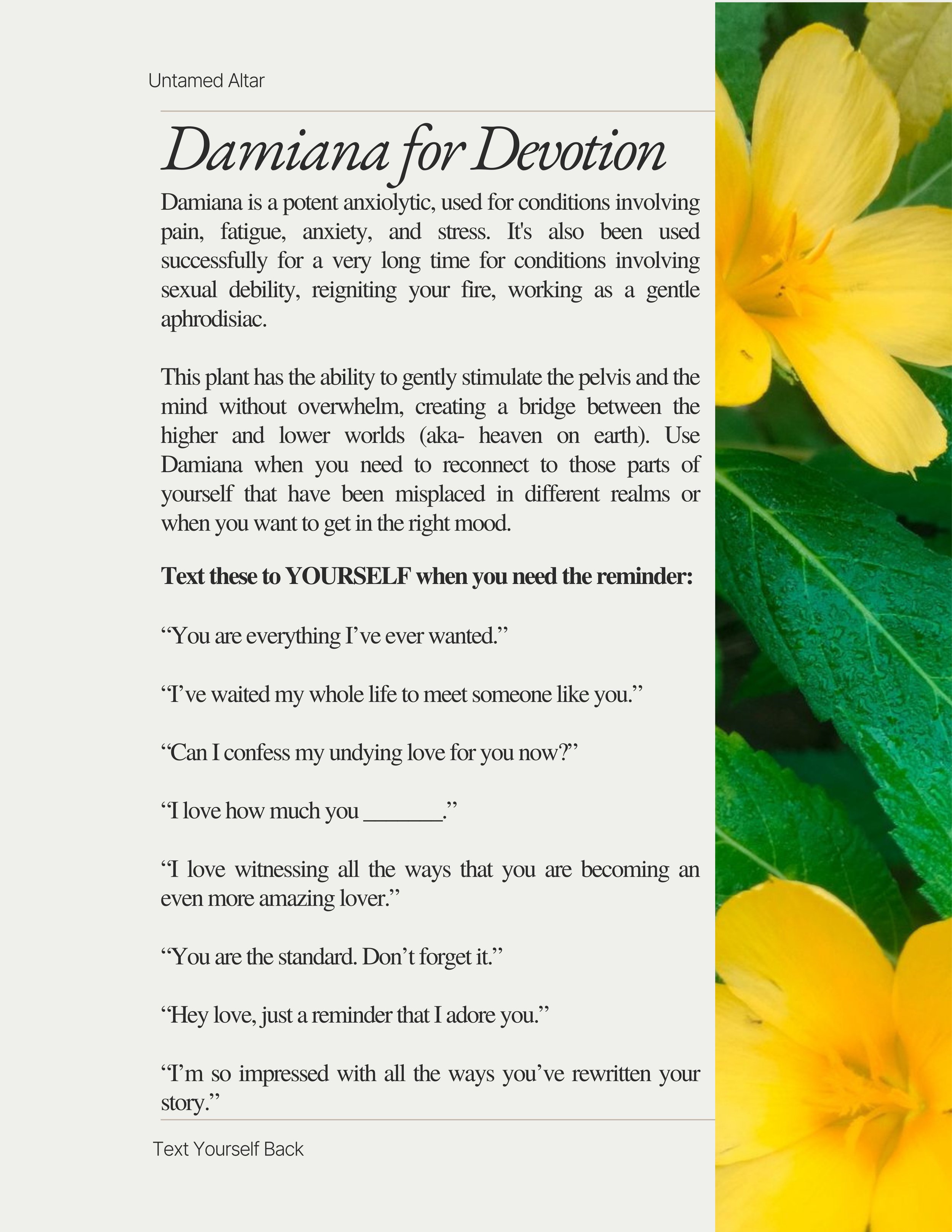 Text Yourself Back (8) (1).jpg