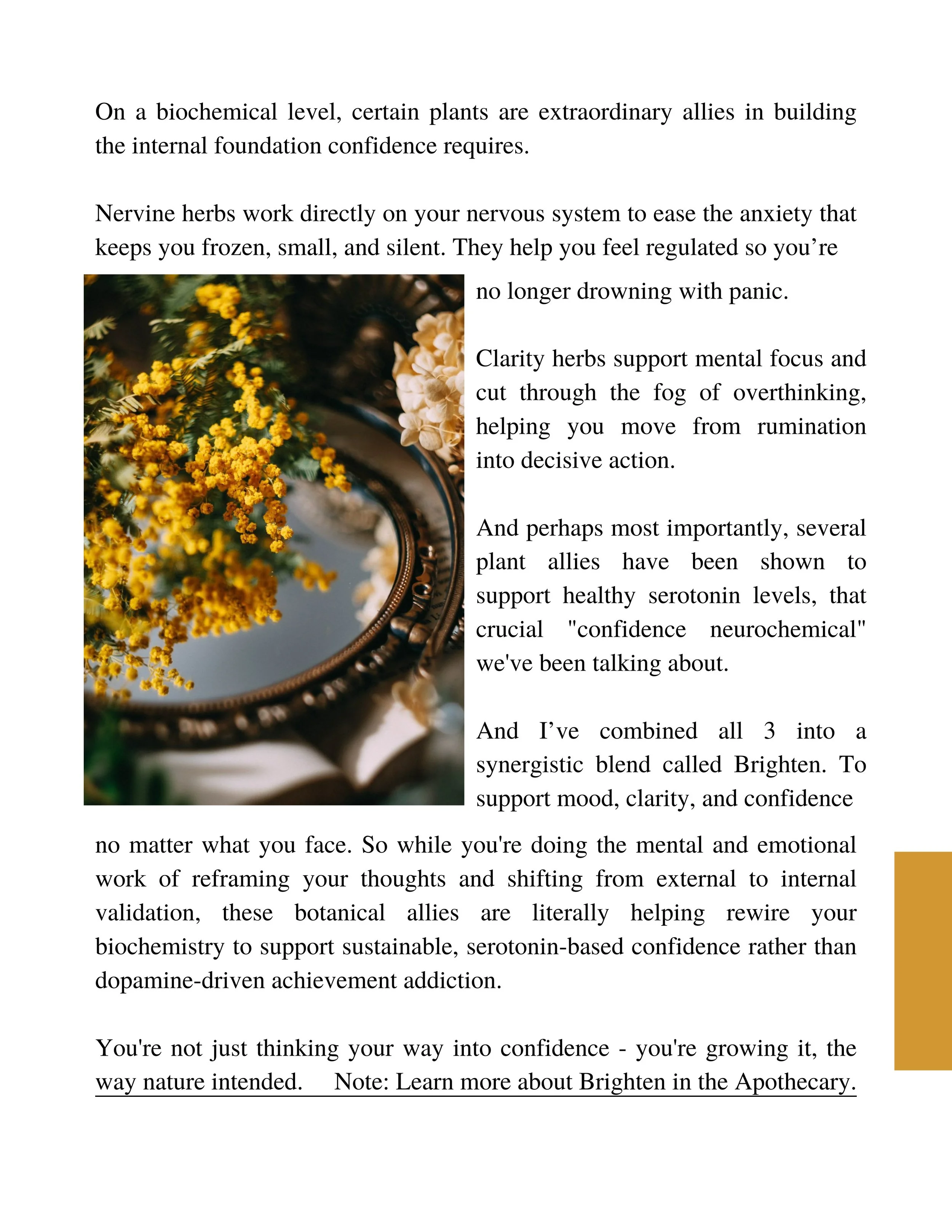 Confidence Codes (18).jpg