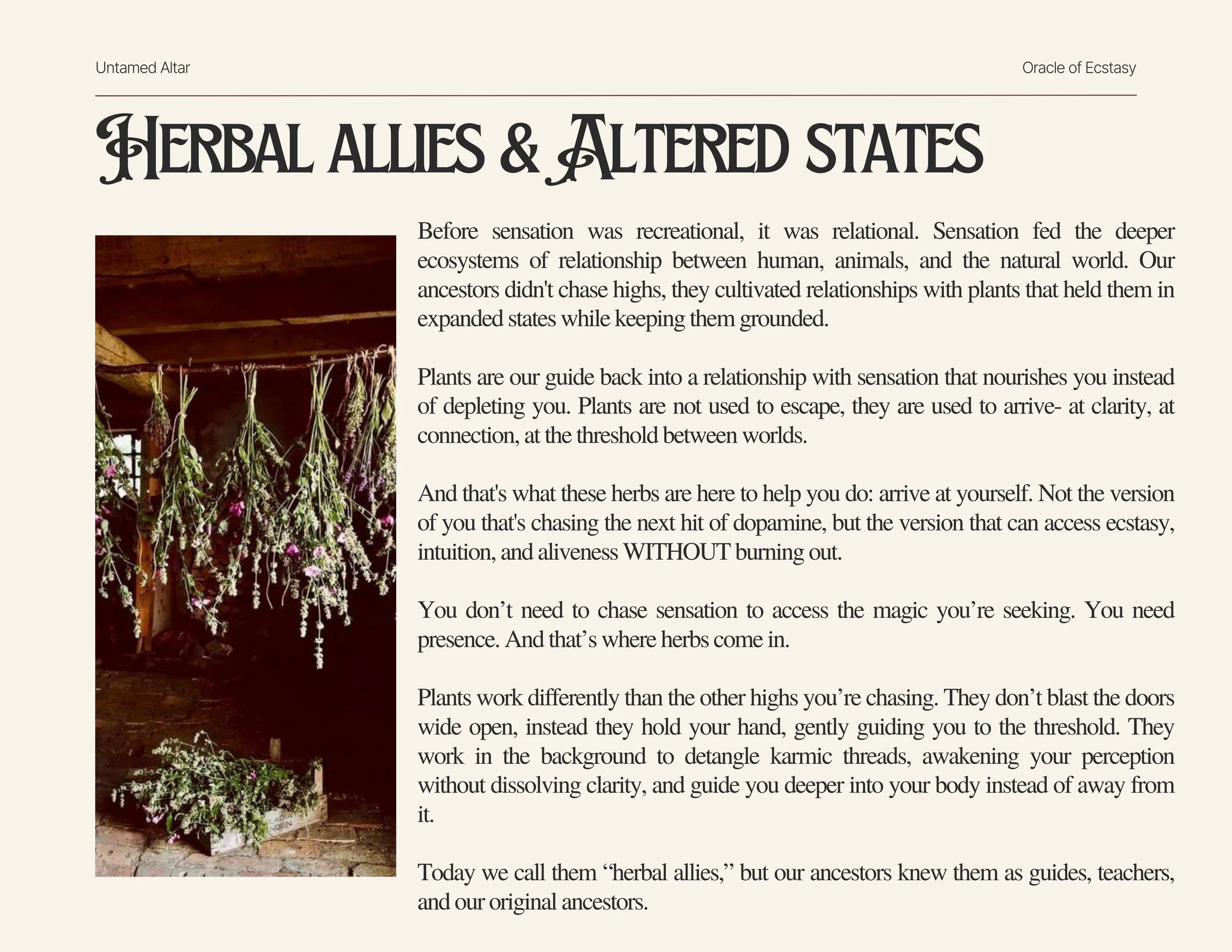 The Oracle of Ecstasy (9).jpg