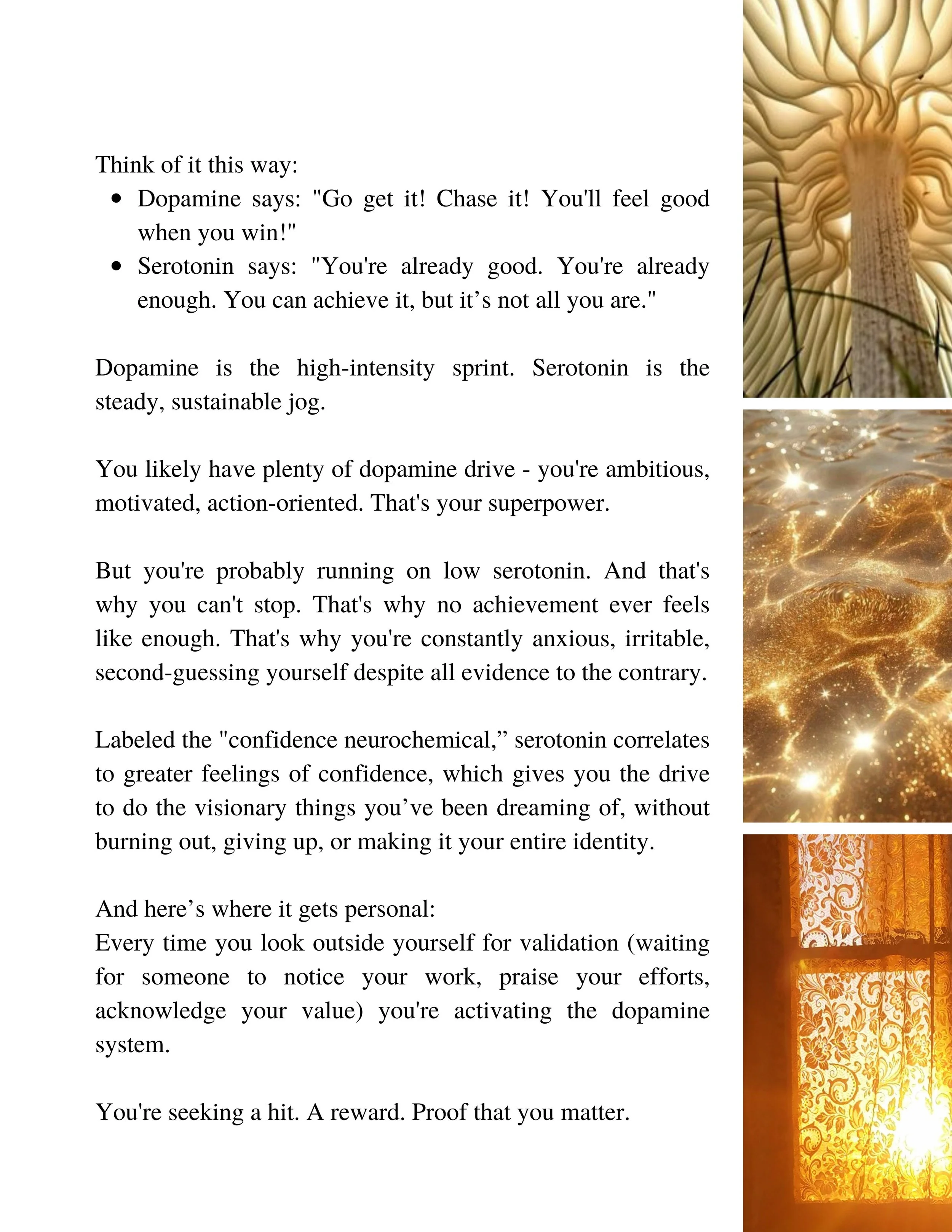 Confidence Codes (12).jpg