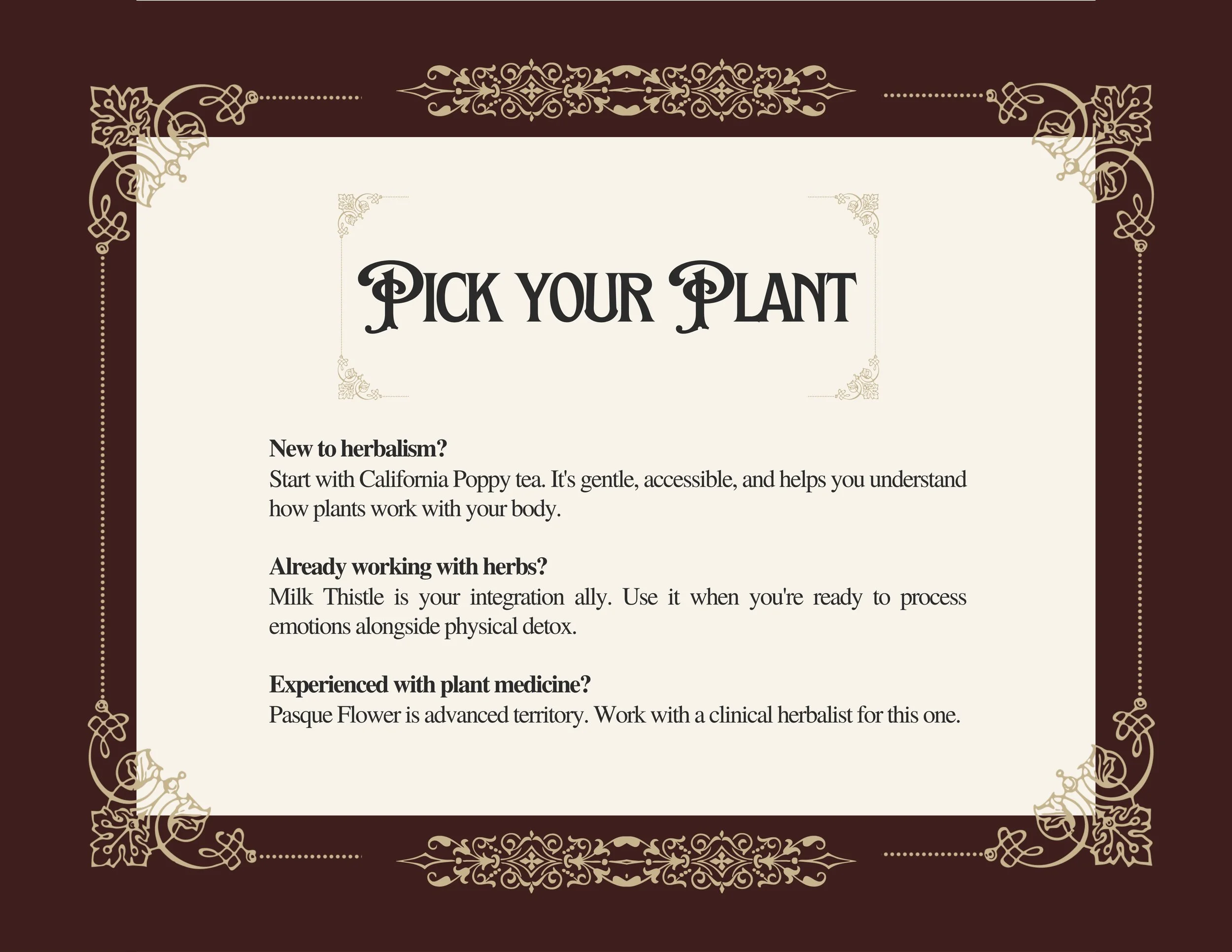 The Oracle of Ecstasy (11).jpg