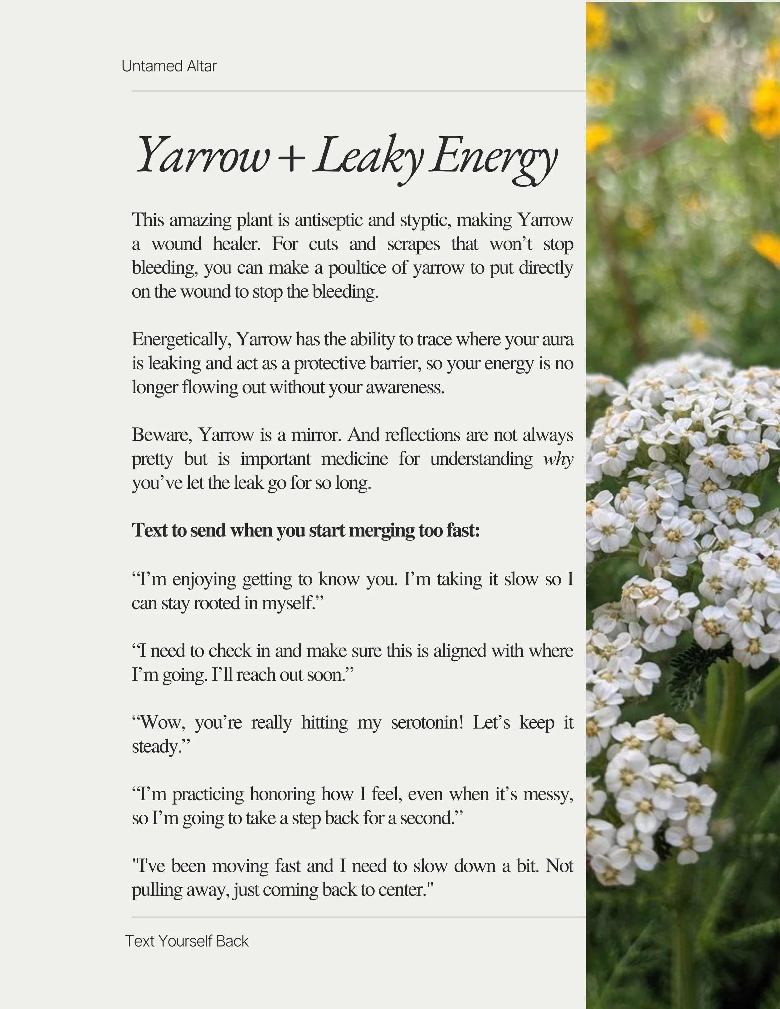 Text Yourself Back (4) (1).jpg