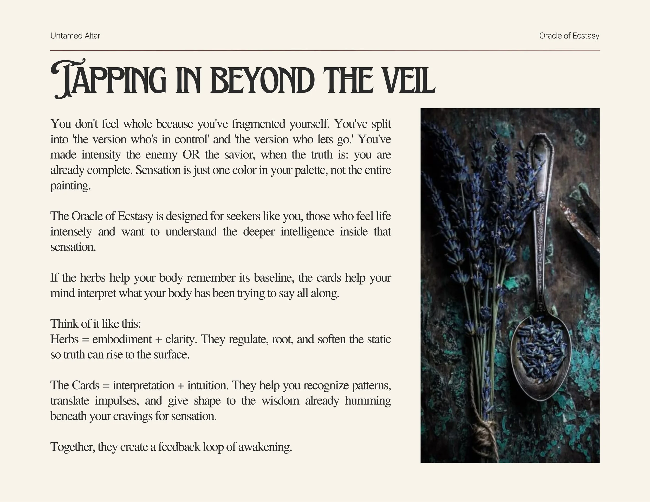 The Oracle of Ecstasy (16).jpg