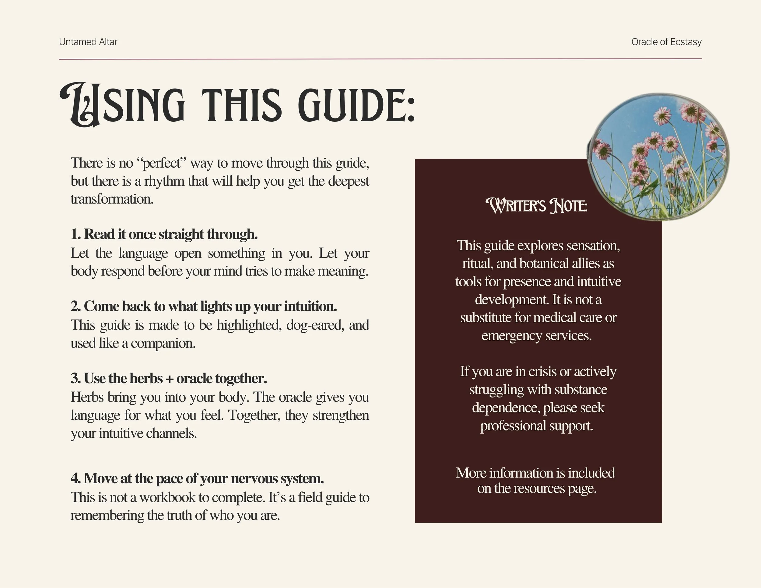 The Oracle of Ecstasy (2).jpg