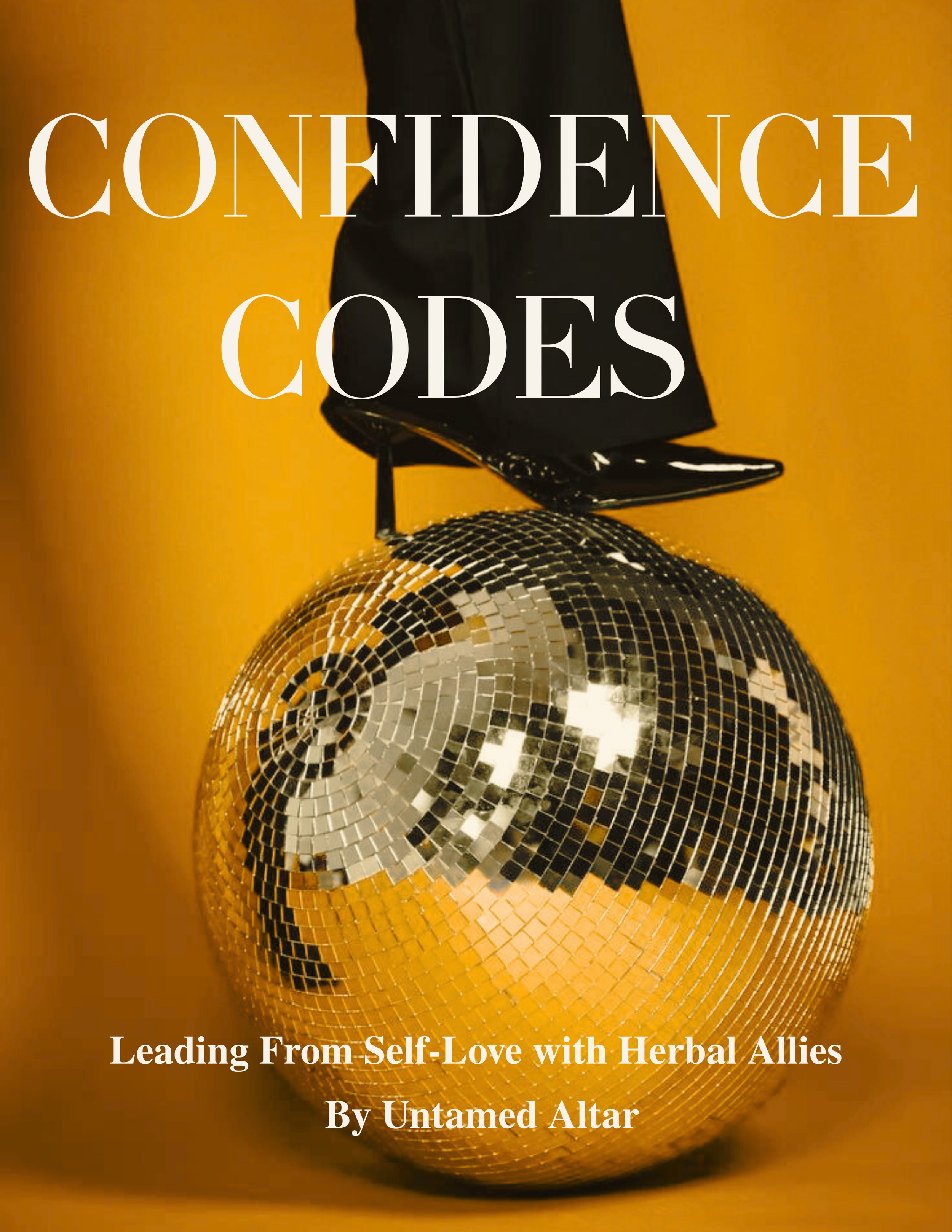 Confidence Codes.jpg
