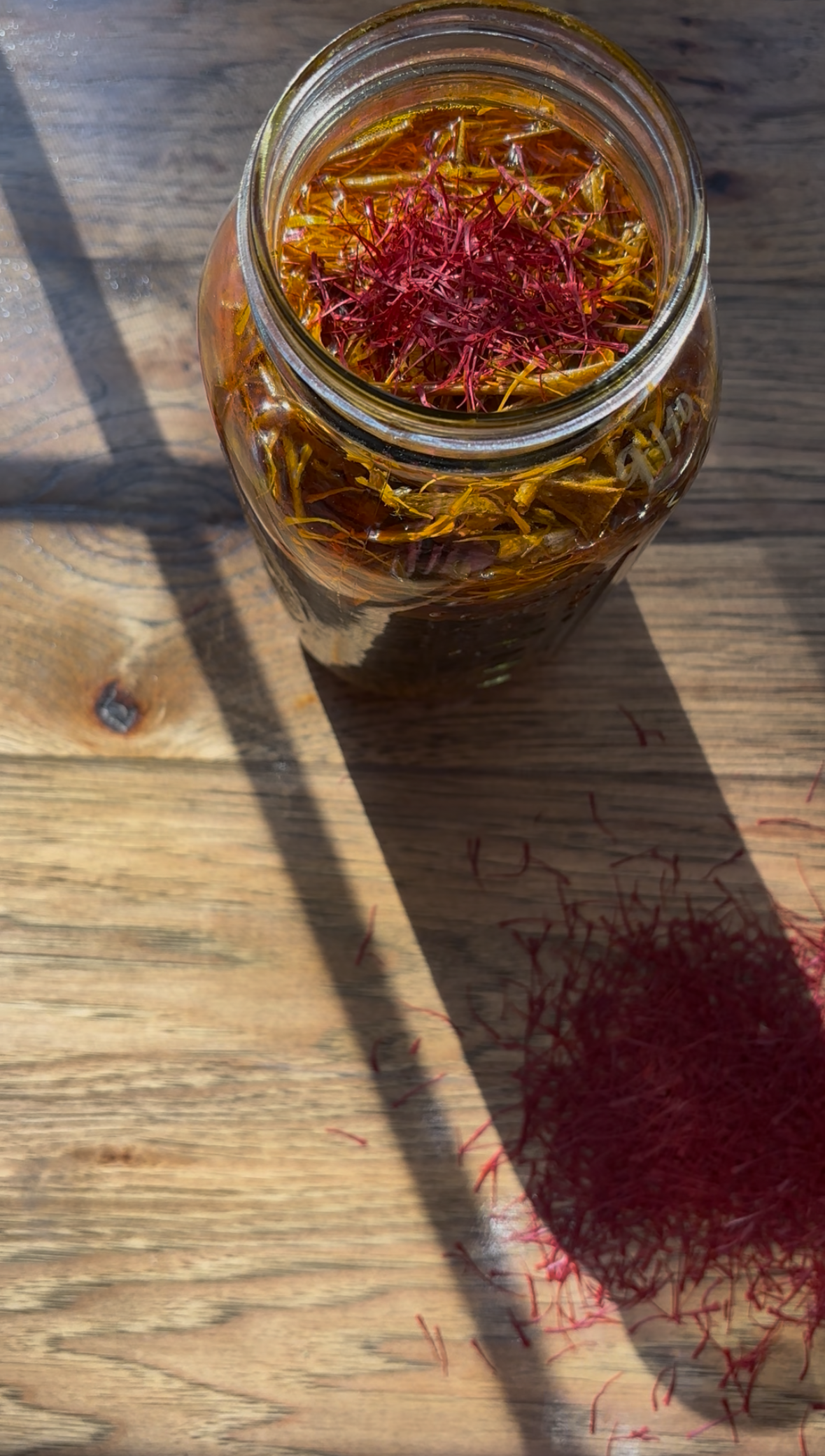 View recent photos.jpeg (1).png