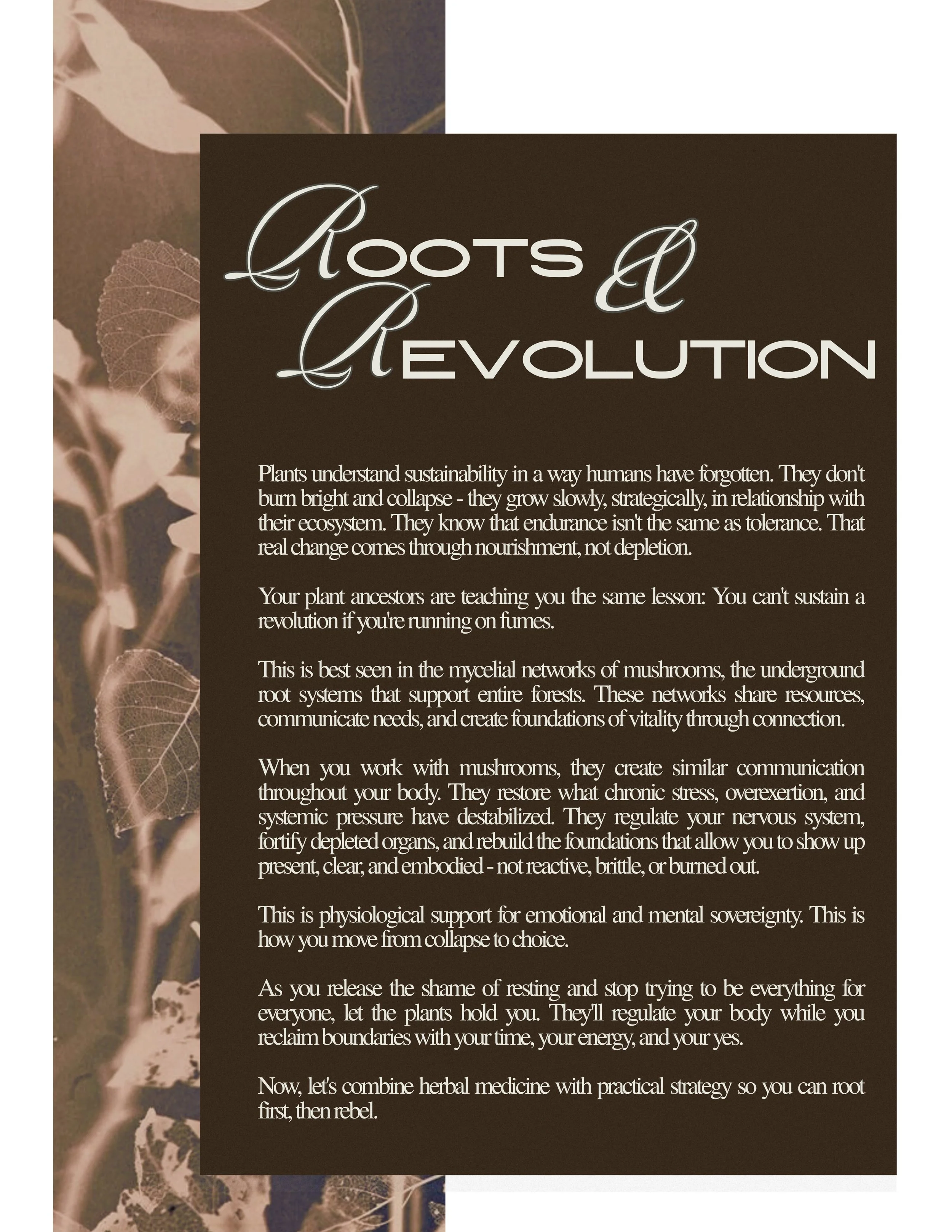 Rebel Guide (11).jpg