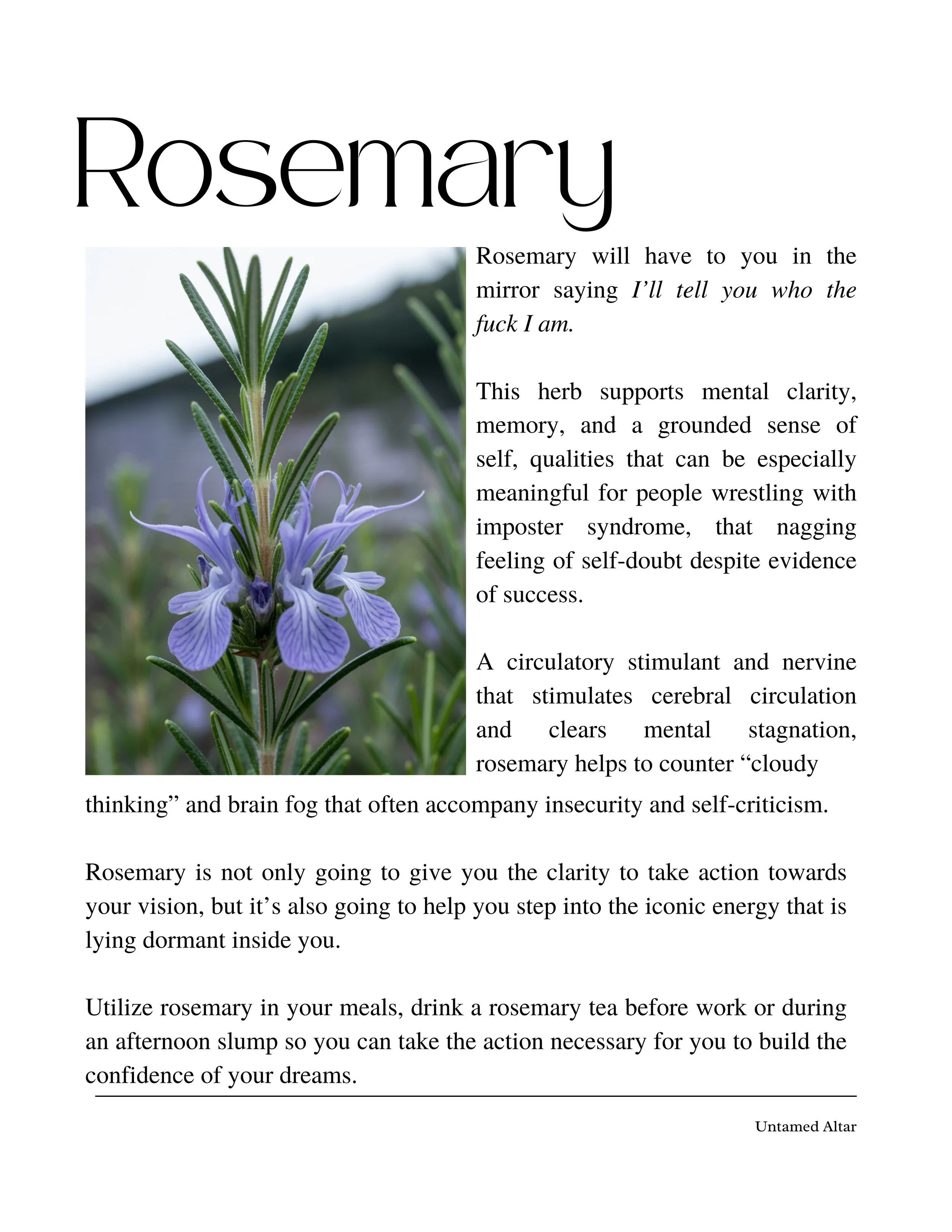 Confidence Codes (25).jpg