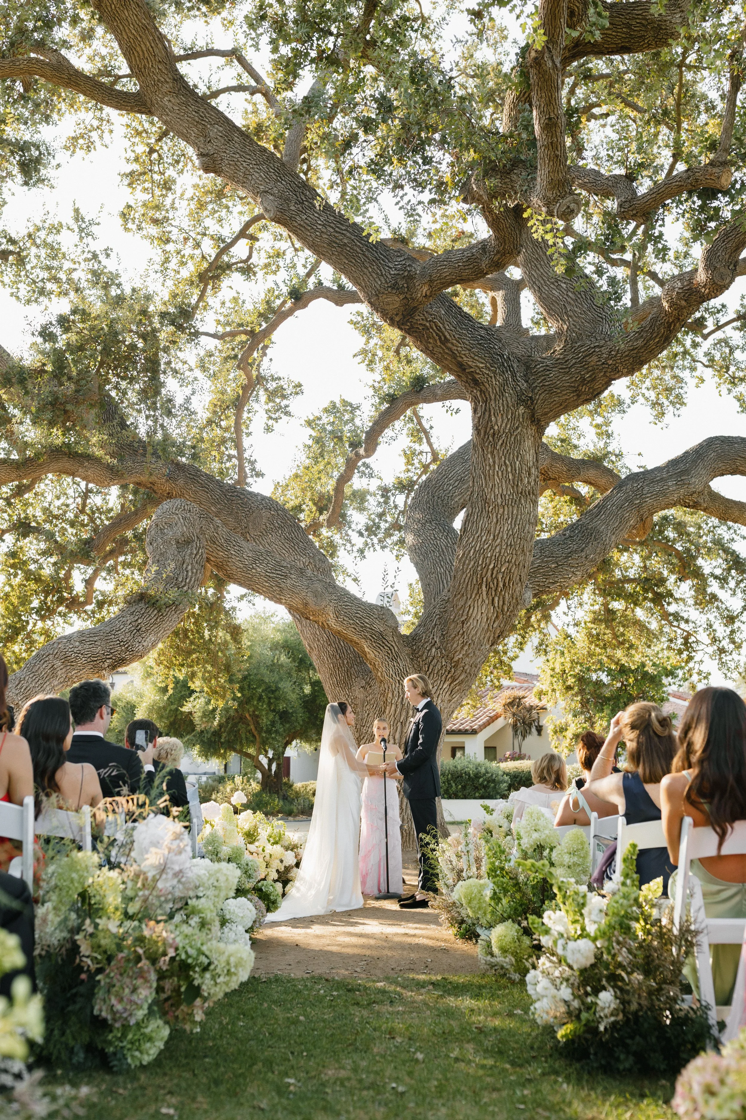 A wedding ceremony takes place outdoors under a large, sprawling tree with many branches and green leaves, with the bride and groom standing face to face, exchanging vows. The bride wears a white wedding dress and a veil, and the groom wears a black 