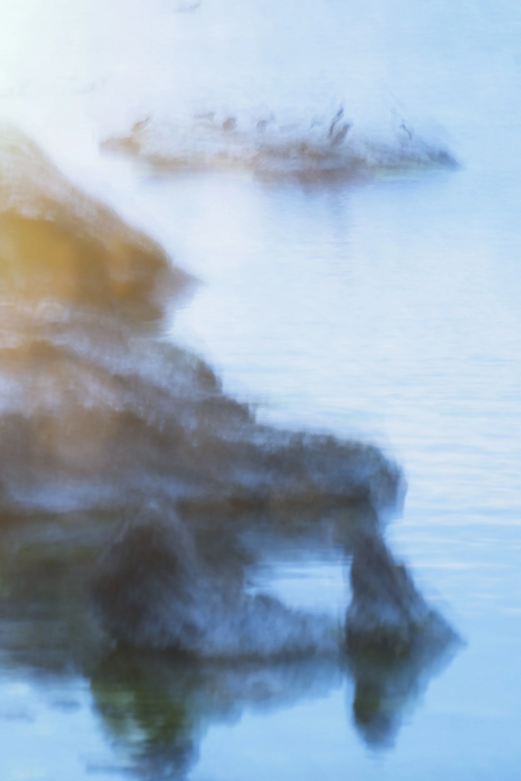 icm-photography on the island of Stora Karlsö