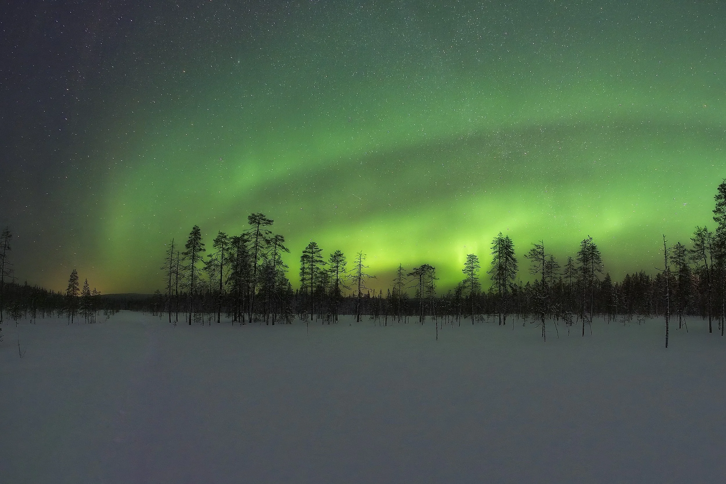 Northernlights_100223 1.jpg