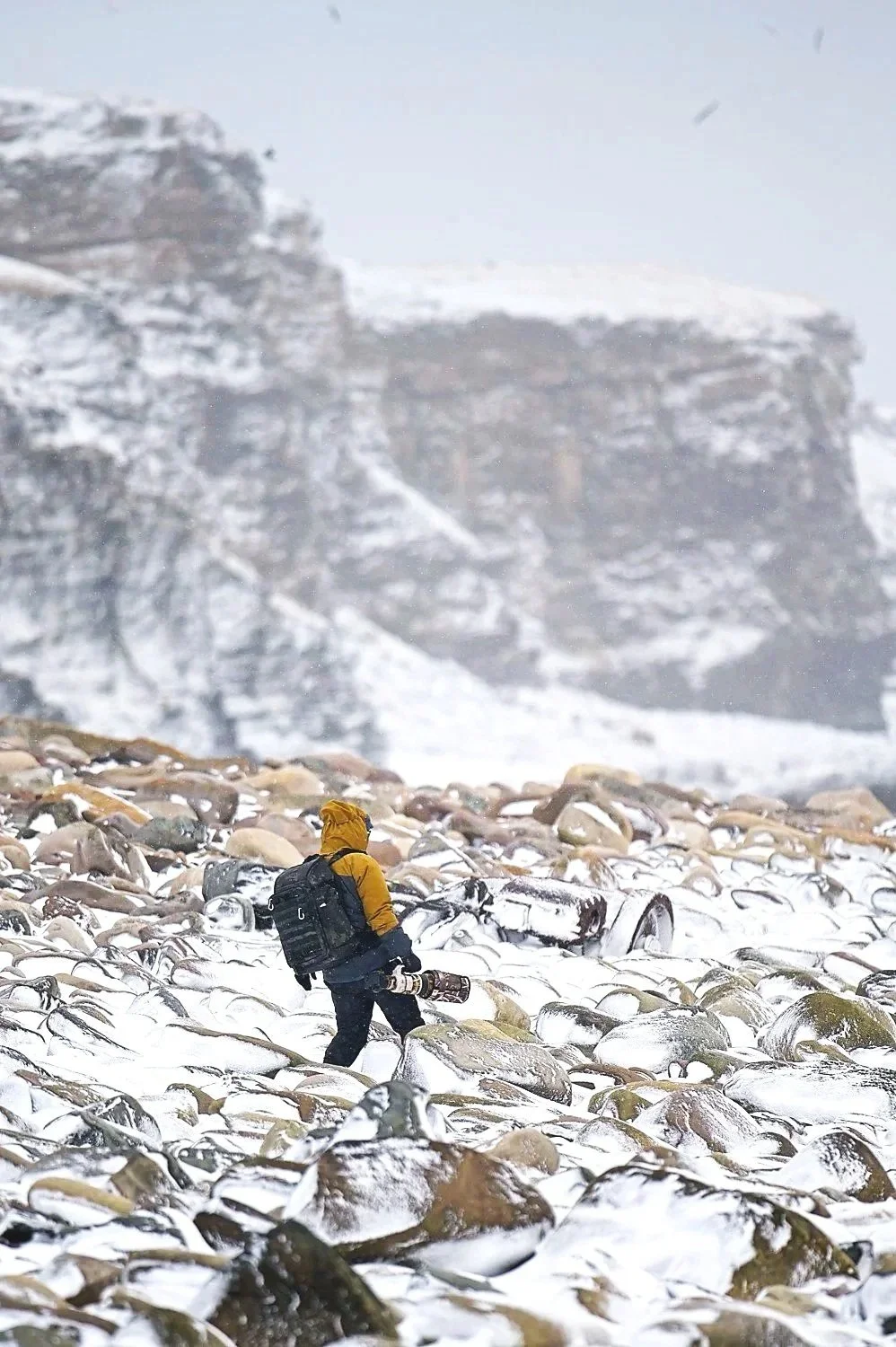 Photographer, Nordic Wildscape