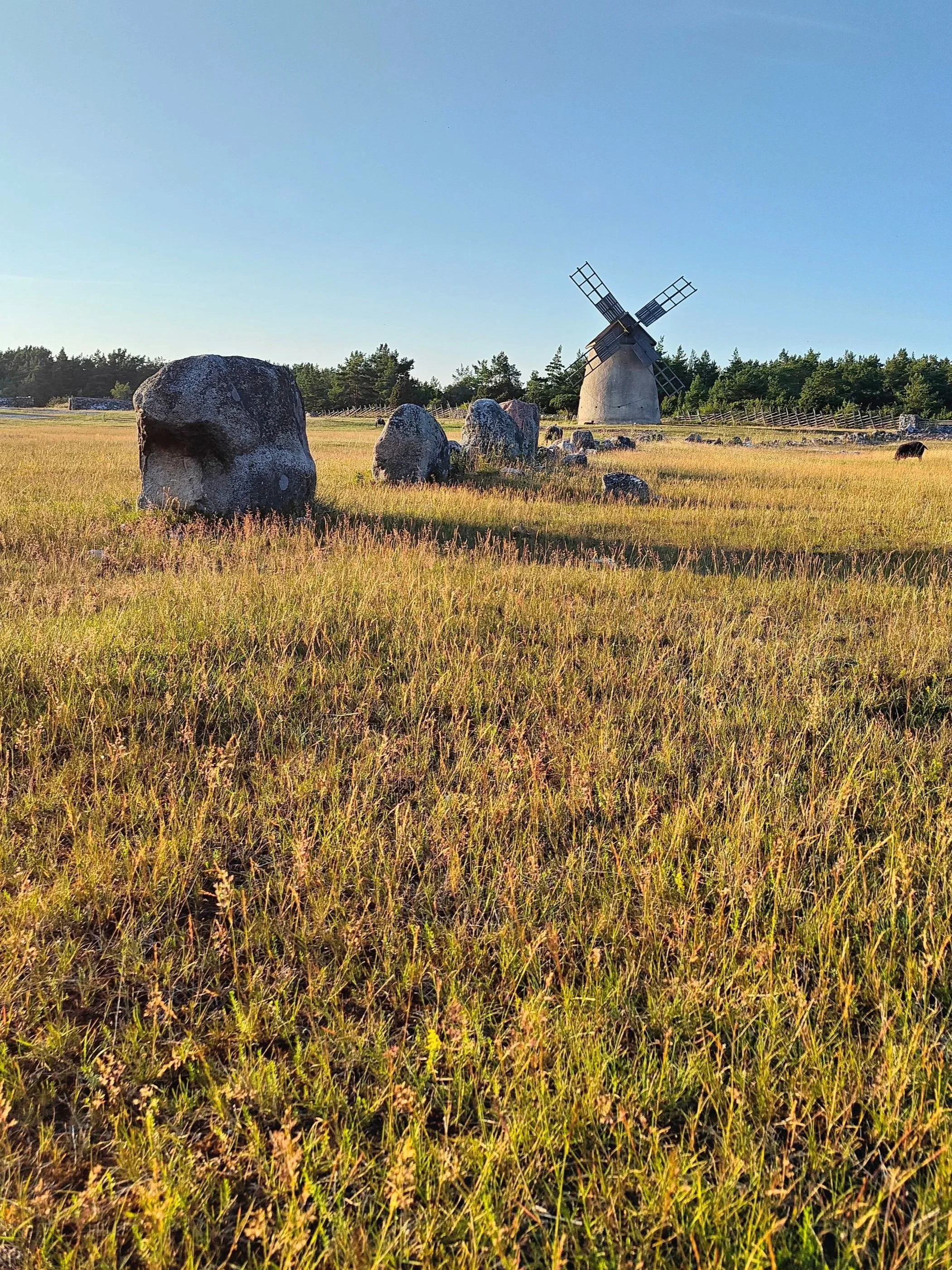 Landscape in creative photography workshop on Gotland in Sweden